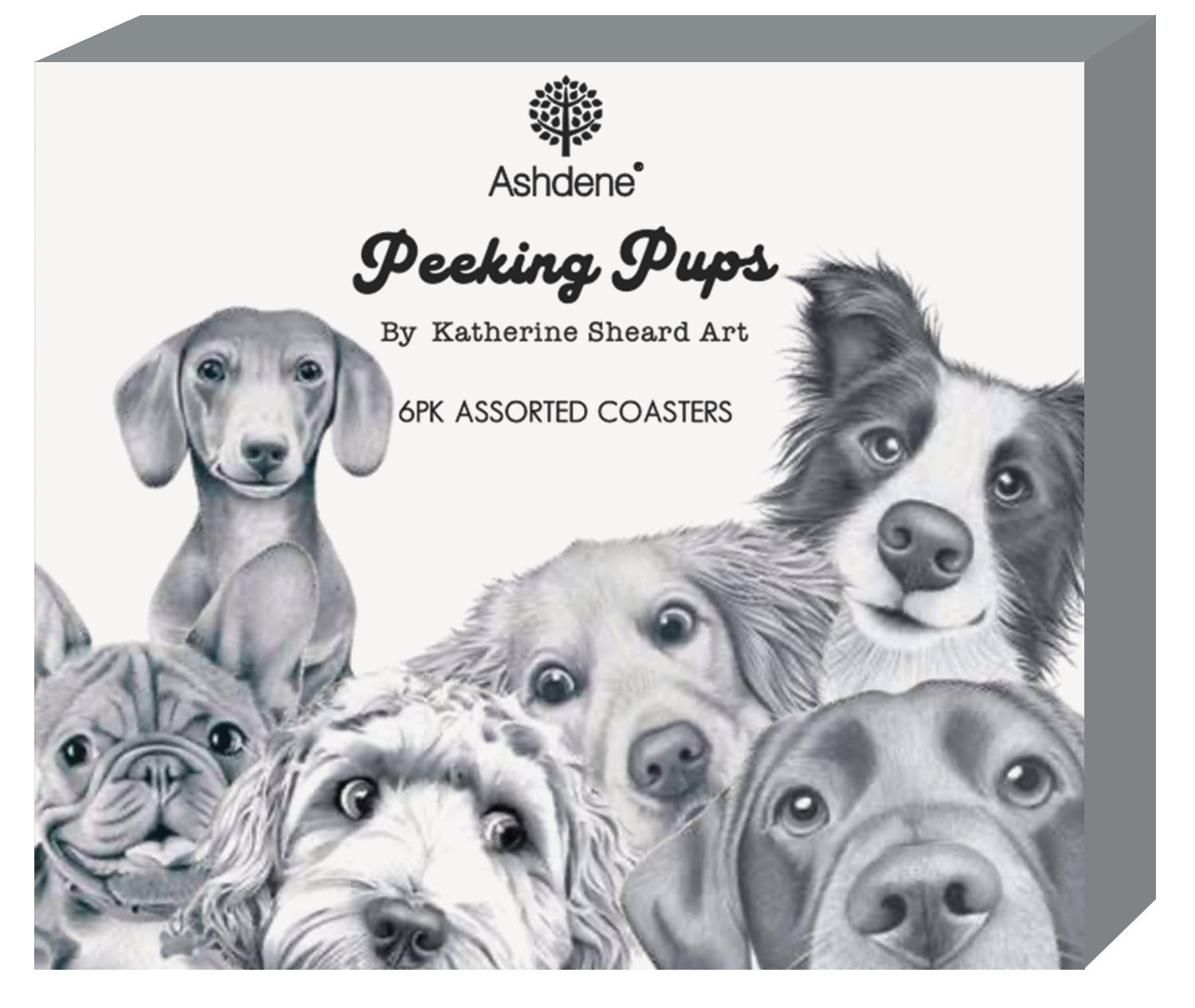 Ashdene Peeking Pups 6pk Coaster