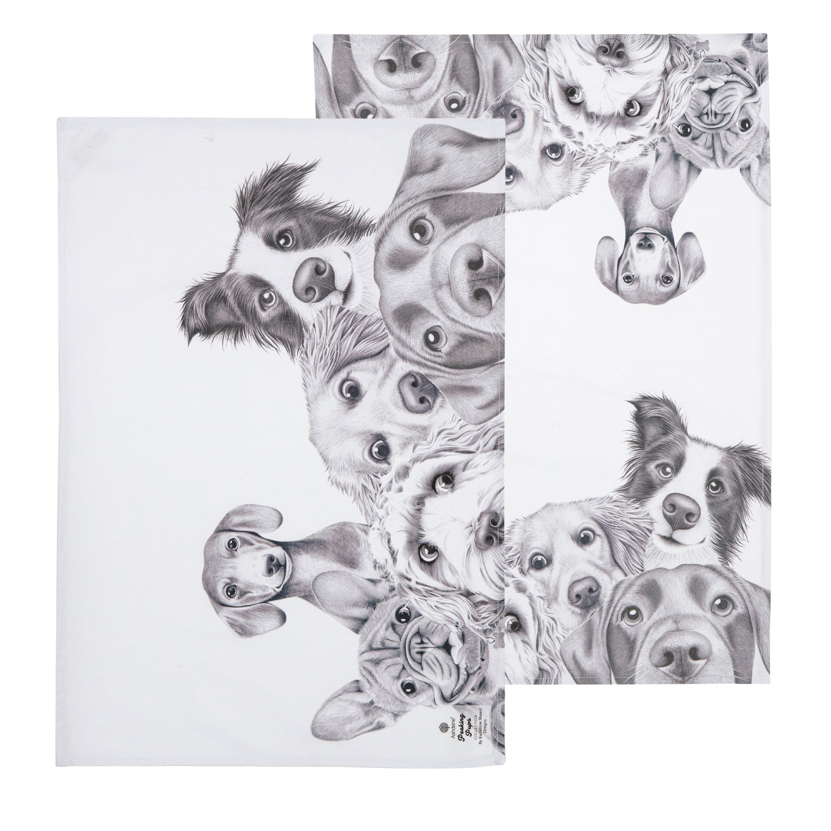 Ashdene Peeking Pups 2pk Kitchen Towel