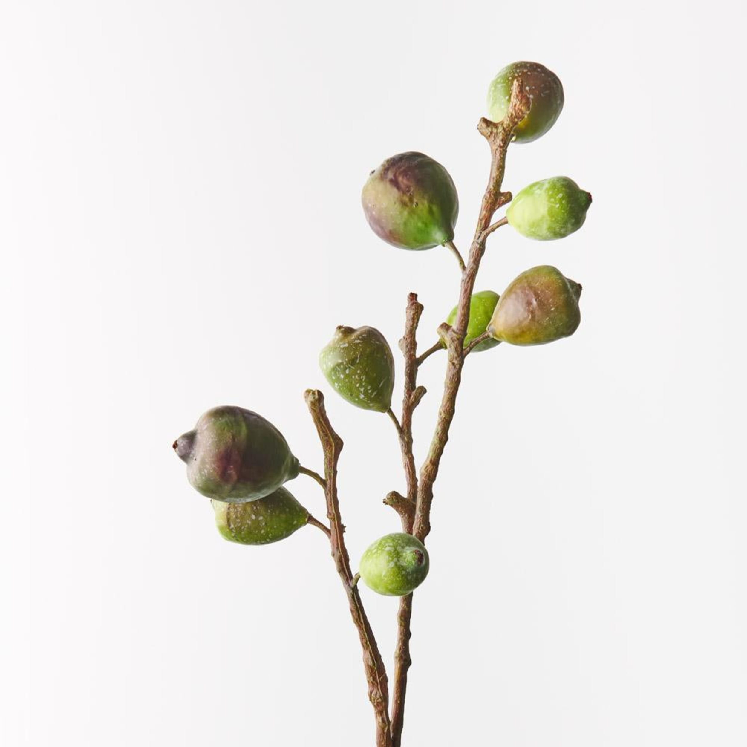 Floral Interiors Fig Spray 68cm Green