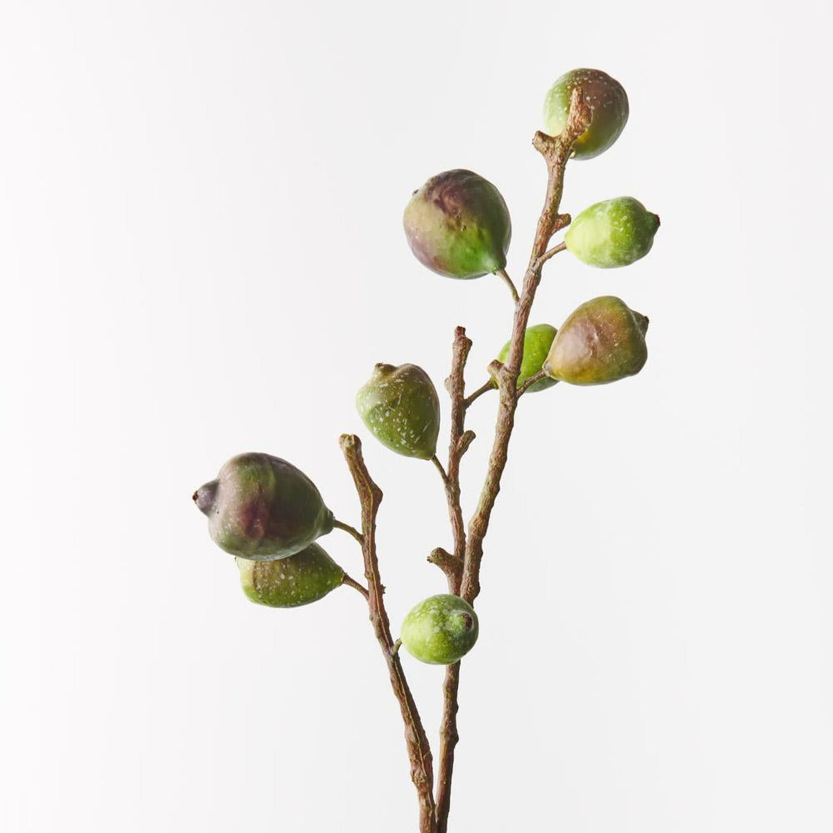 Floral Interiors Fig Spray 68cm Green