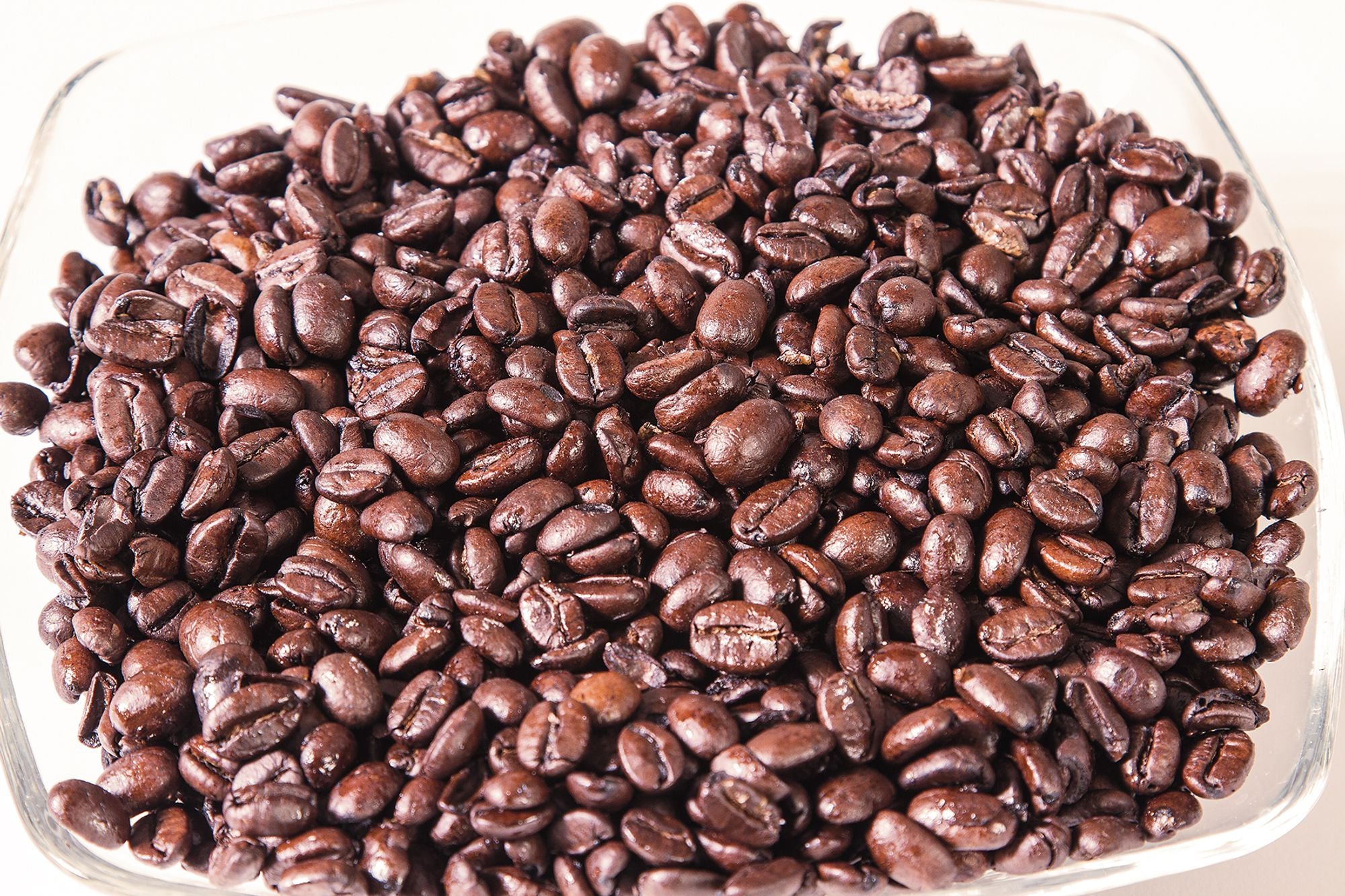 Progressive ProKeeper CollectionCoffee ProKeeper (1.4 L)