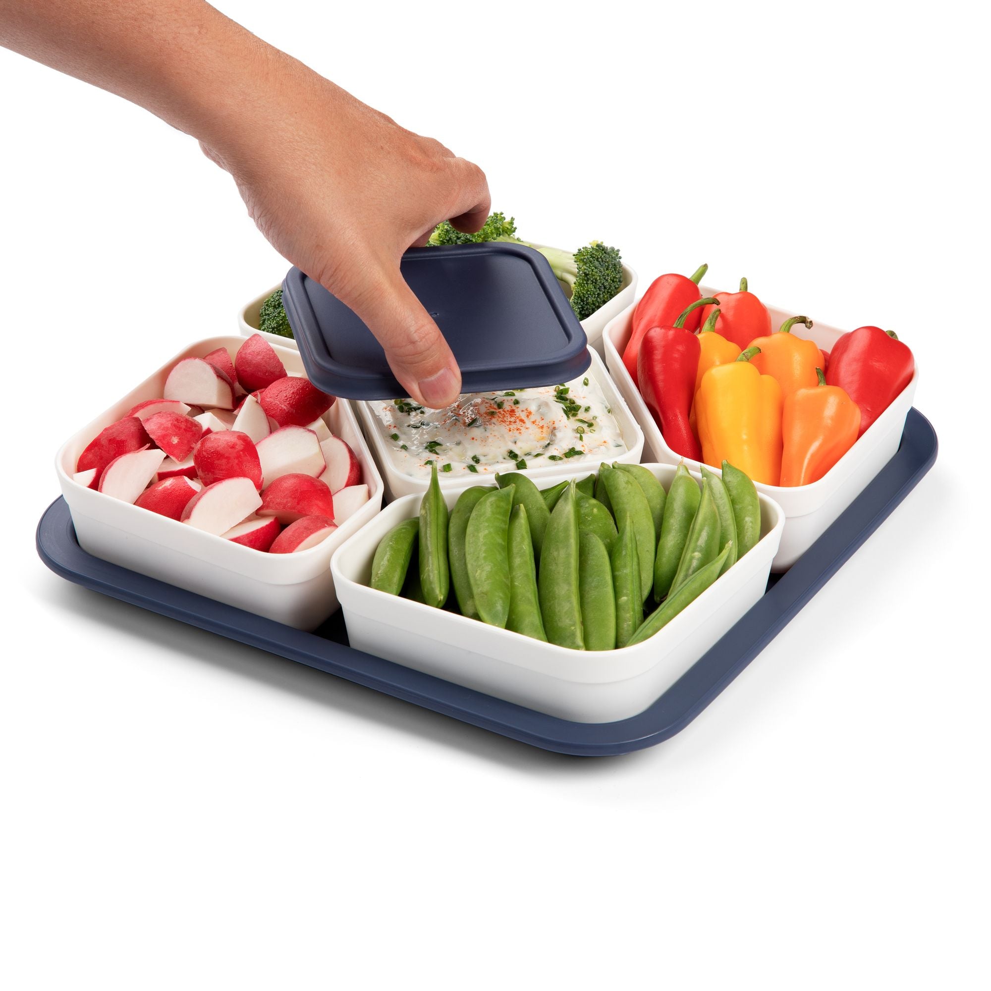 Progressive Snap & Go Party Carrier