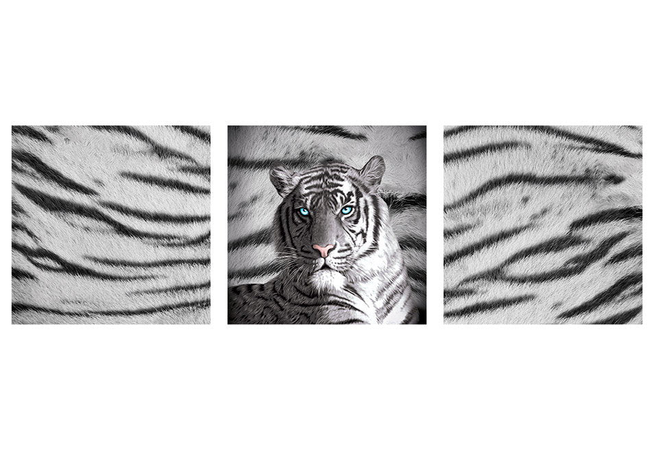 Just Home Blue Eyes Stripes Wall Canvas