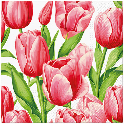 PAW Lunch Napkin 33x33cm 20 Pack - Tulip Time