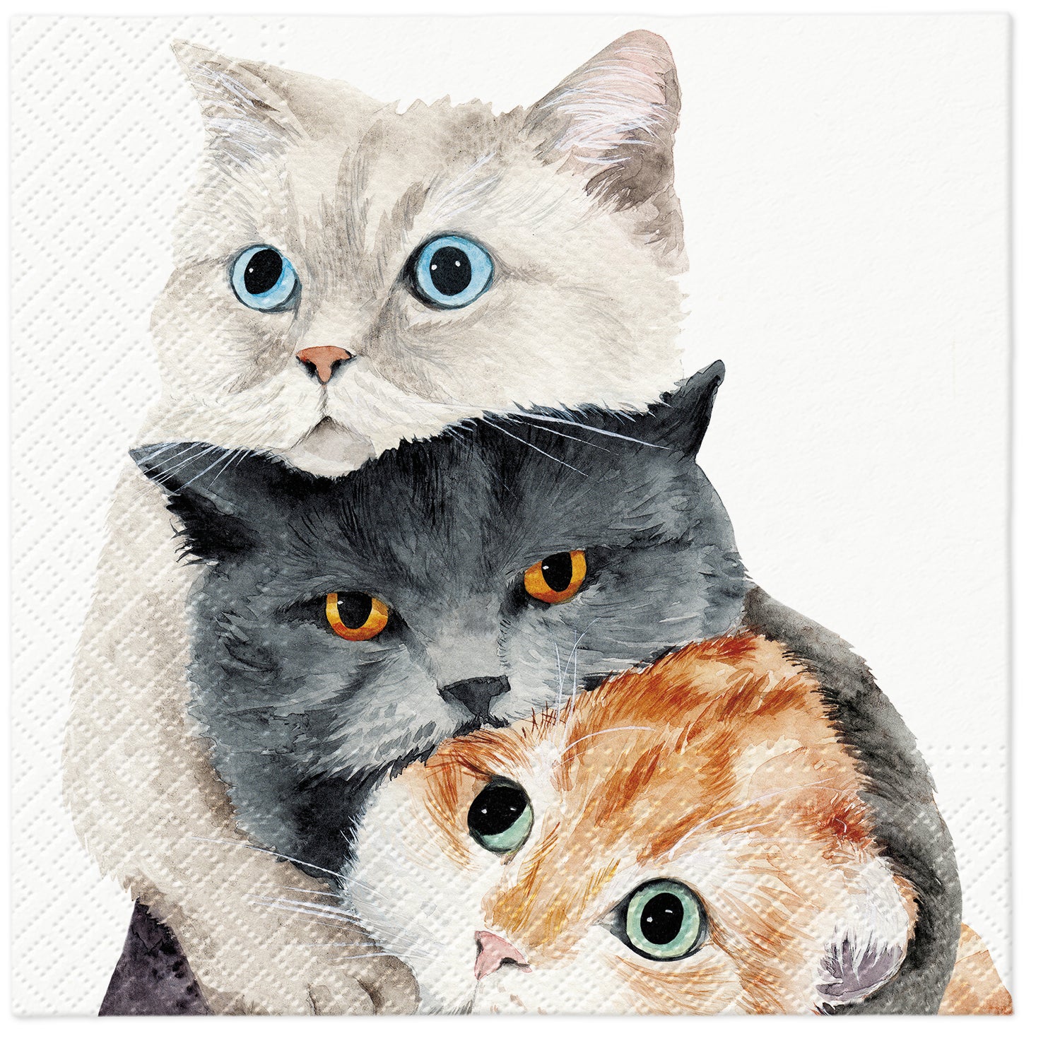 PAW Lunch Napkin 33x33cm 20 Pack - Better Together