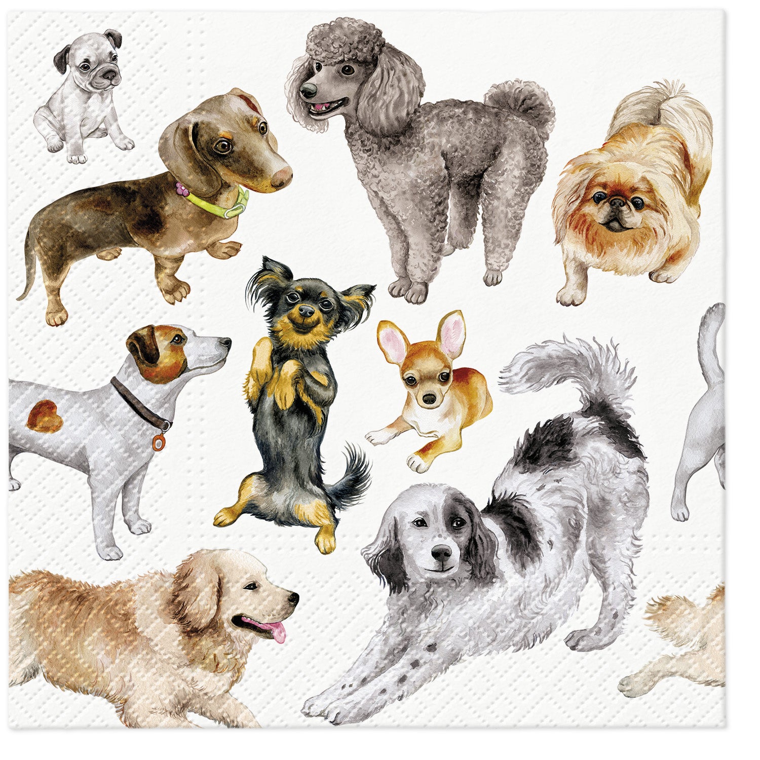 PAW Lunch Napkin 33x33cm 20 Pack - Dogs Happiness