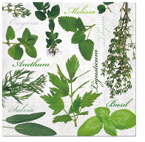 PAW Lunch Napkin 33x33cm 20 Pack - Herbal Taste