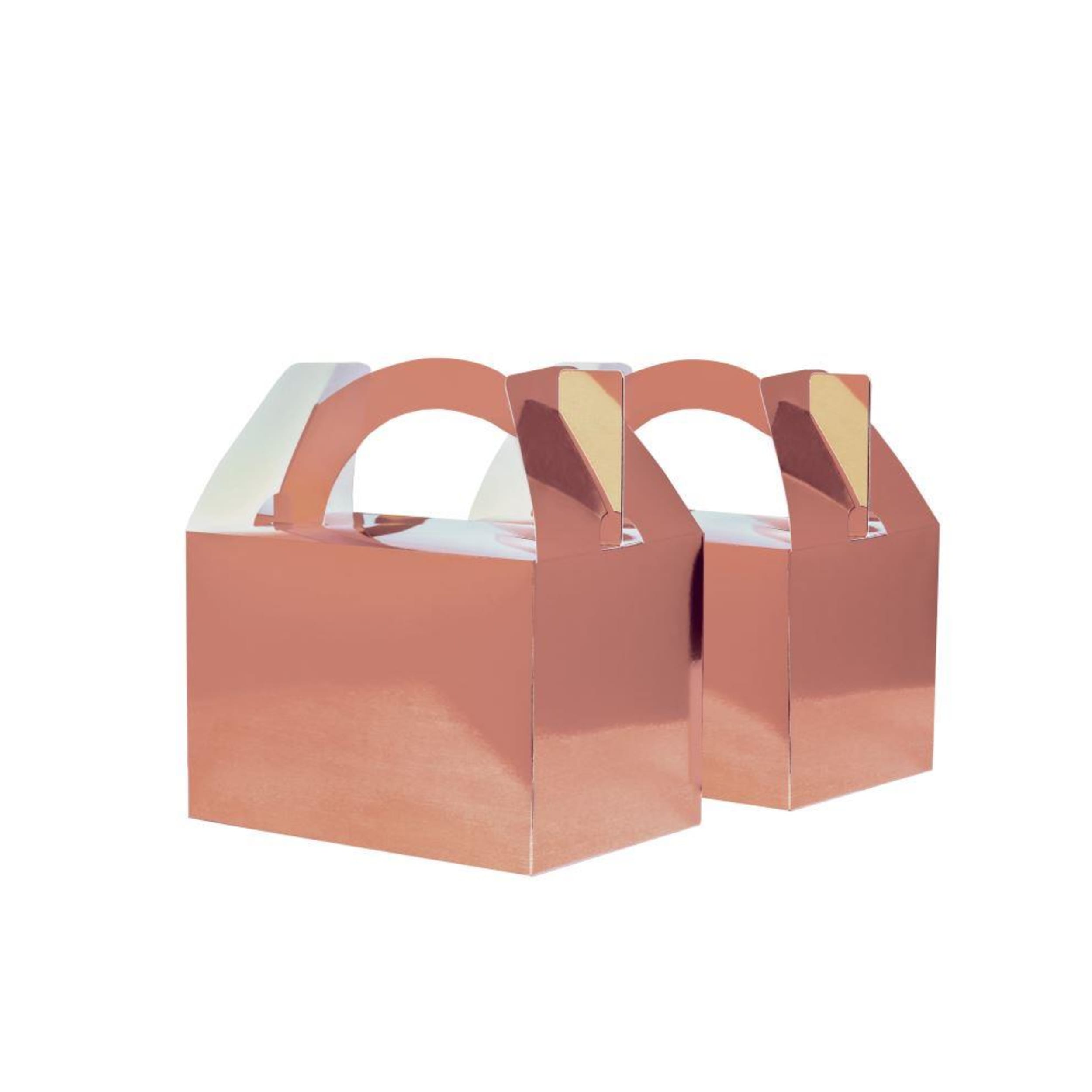 FiveStar Little Lunch Box Met Rose Gold (10 Pack)