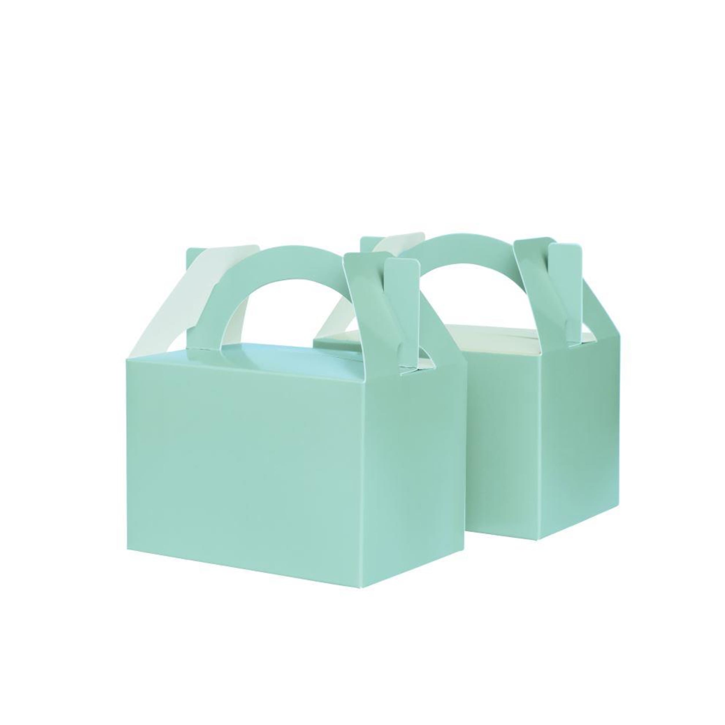 FiveStar Little Lunch Box Mint Green (10 Pack)