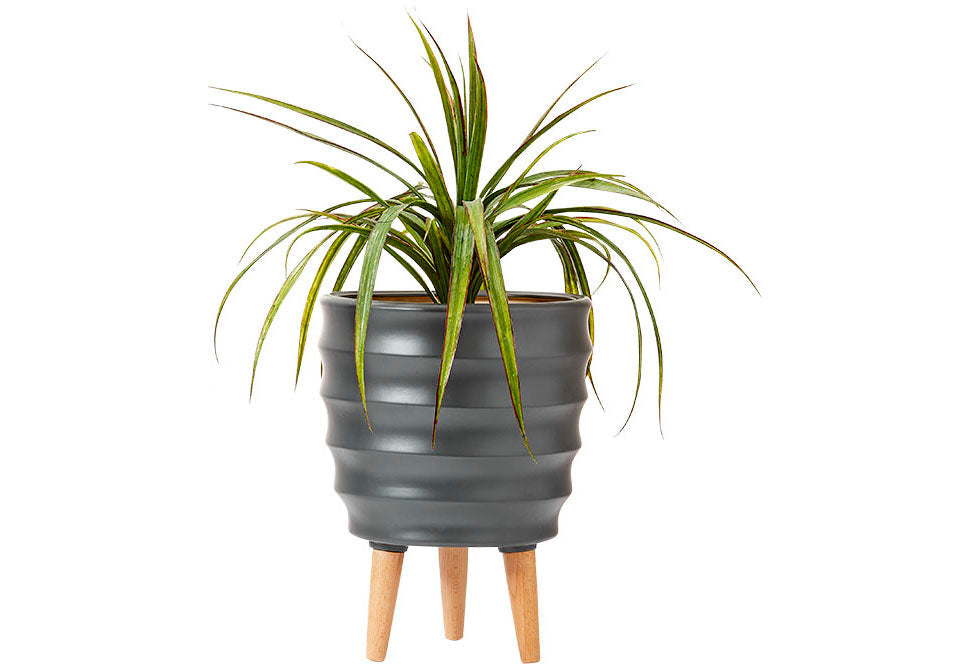 Ladelle Modern 38cm Charcoal Ripple Legged Planter Pot