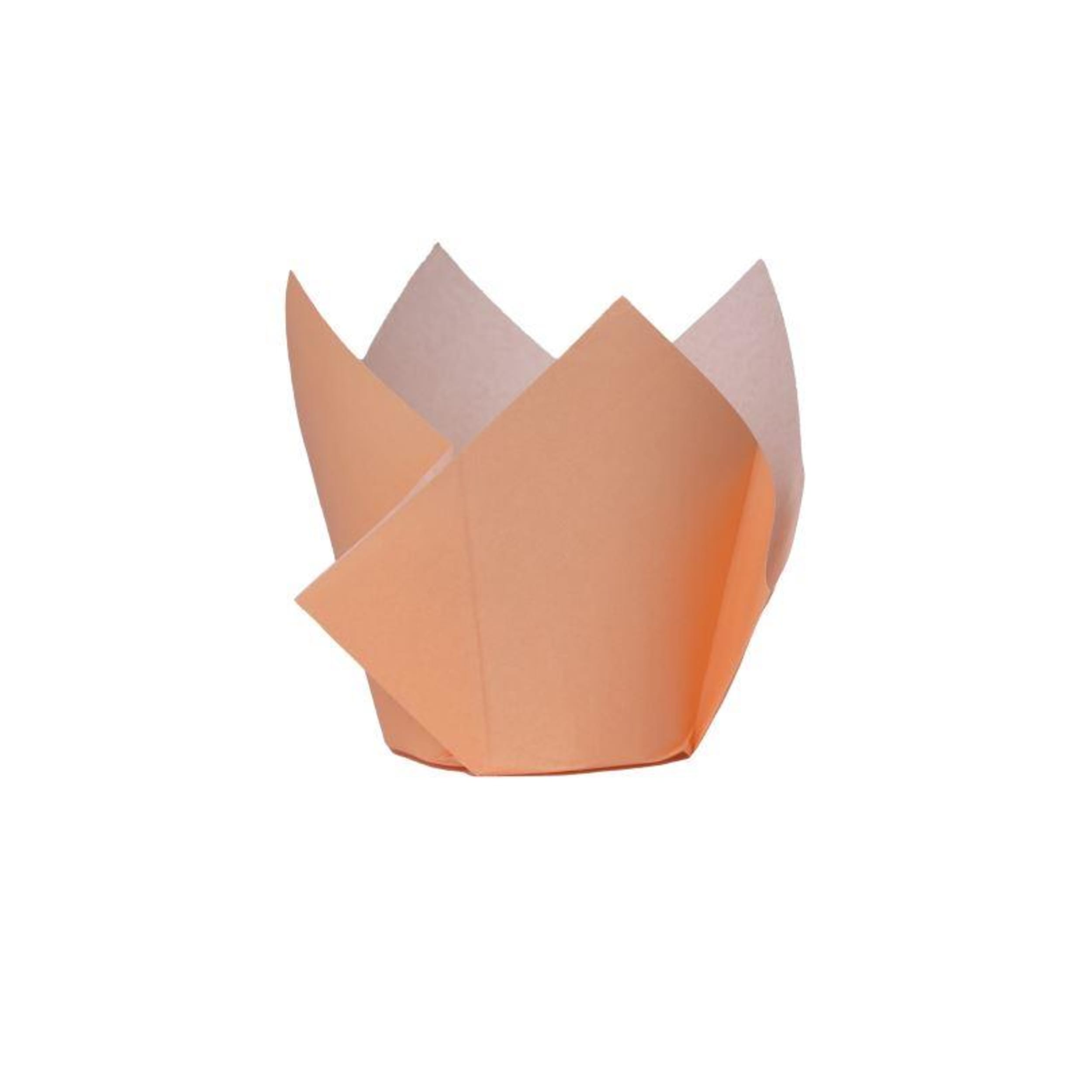 FiveStar Tulip Cupcake Case Pastel Peach (20 Pack)