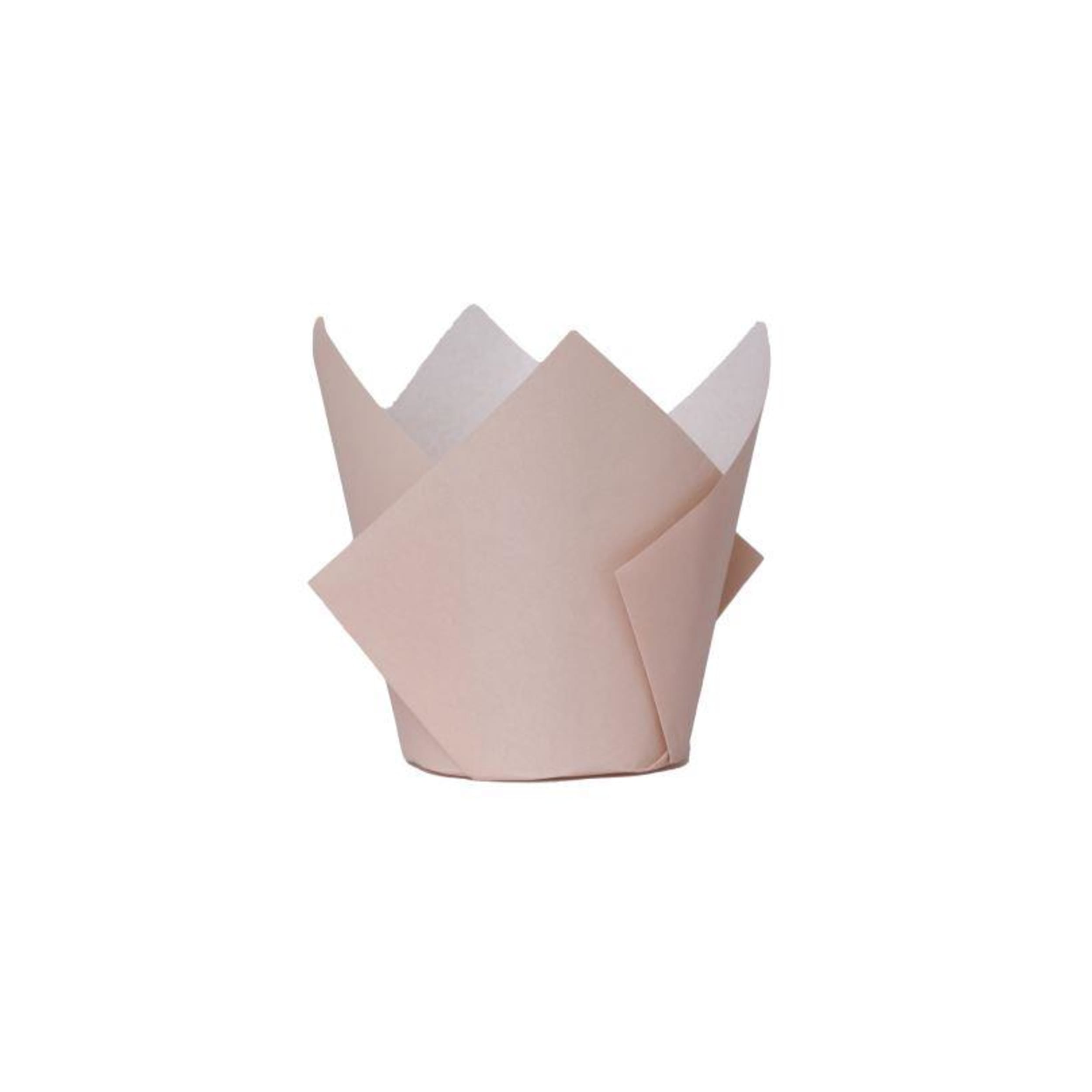 FiveStar Tulip Cupcake Case White Sand (20 Pack)