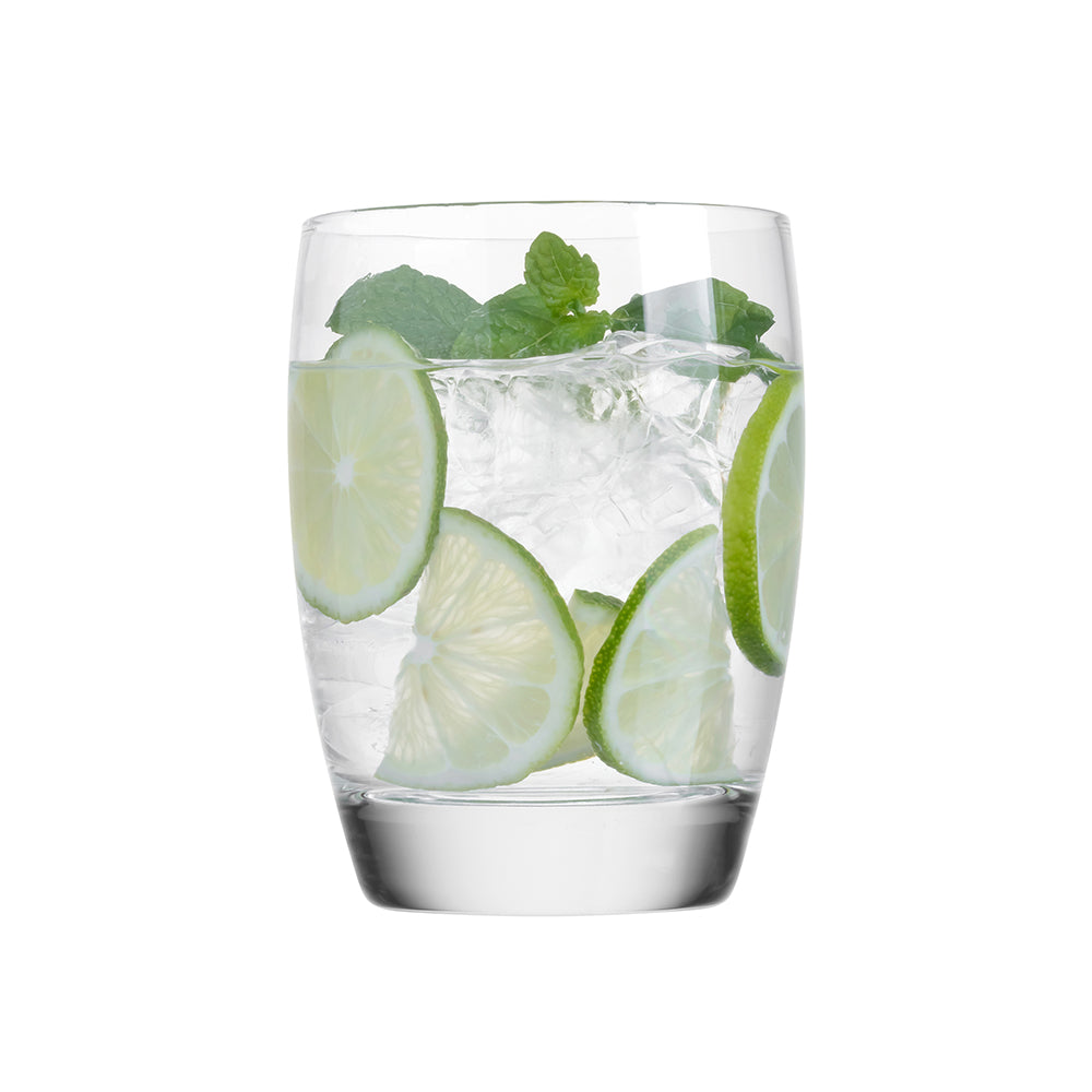 Luigi Bormioli Michelangelo Masterpiece DOF 465ml Set of 4