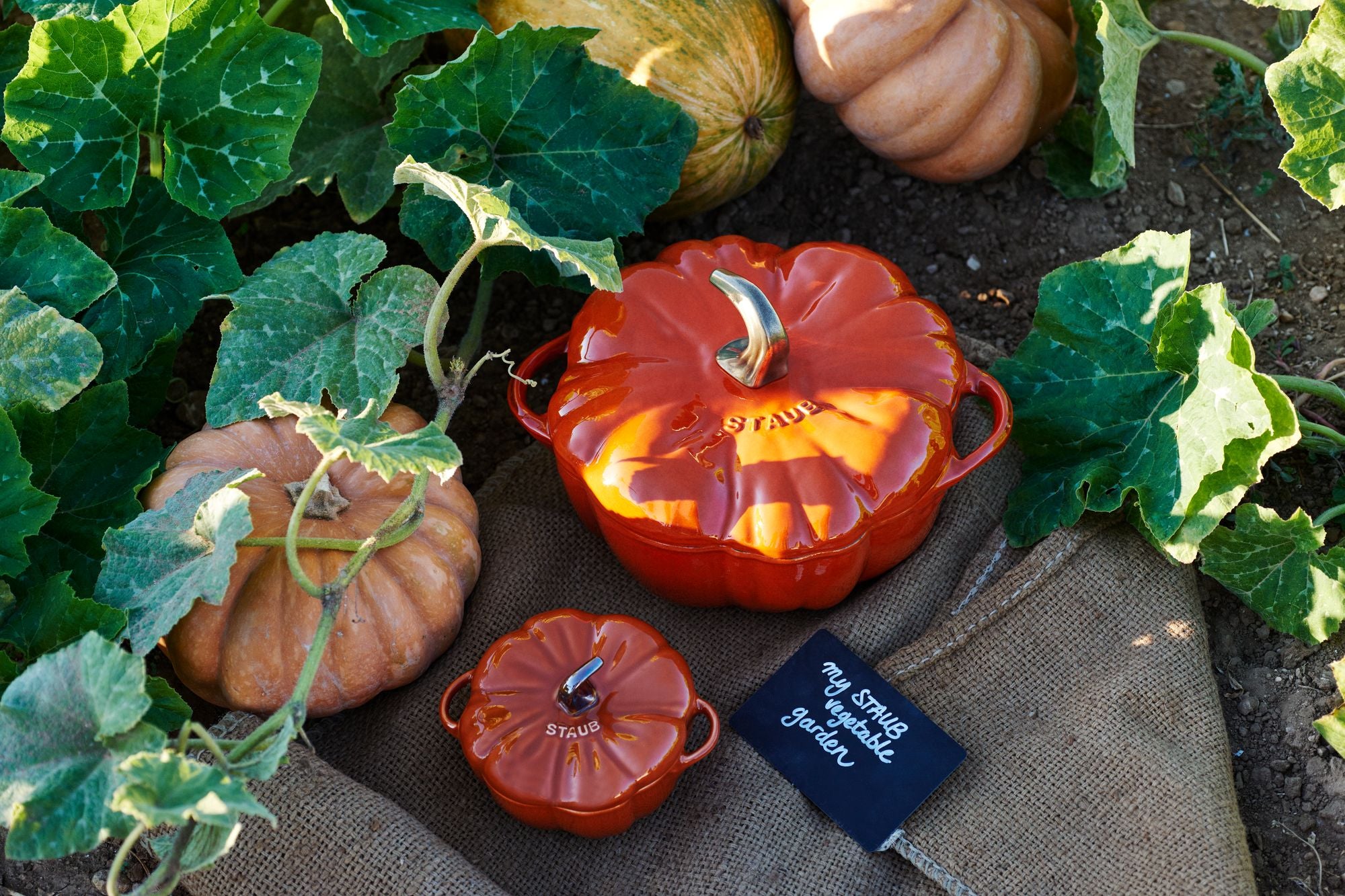 Staub Mini Ceramic Pumpkin Cocotte 0.5L/11cm