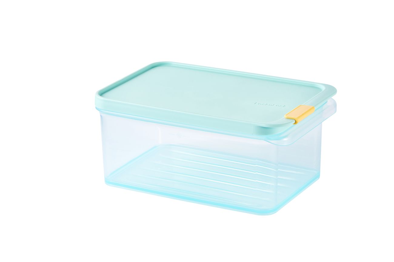 LocknLock Freezer Fit 1.65L + Divider 15ml