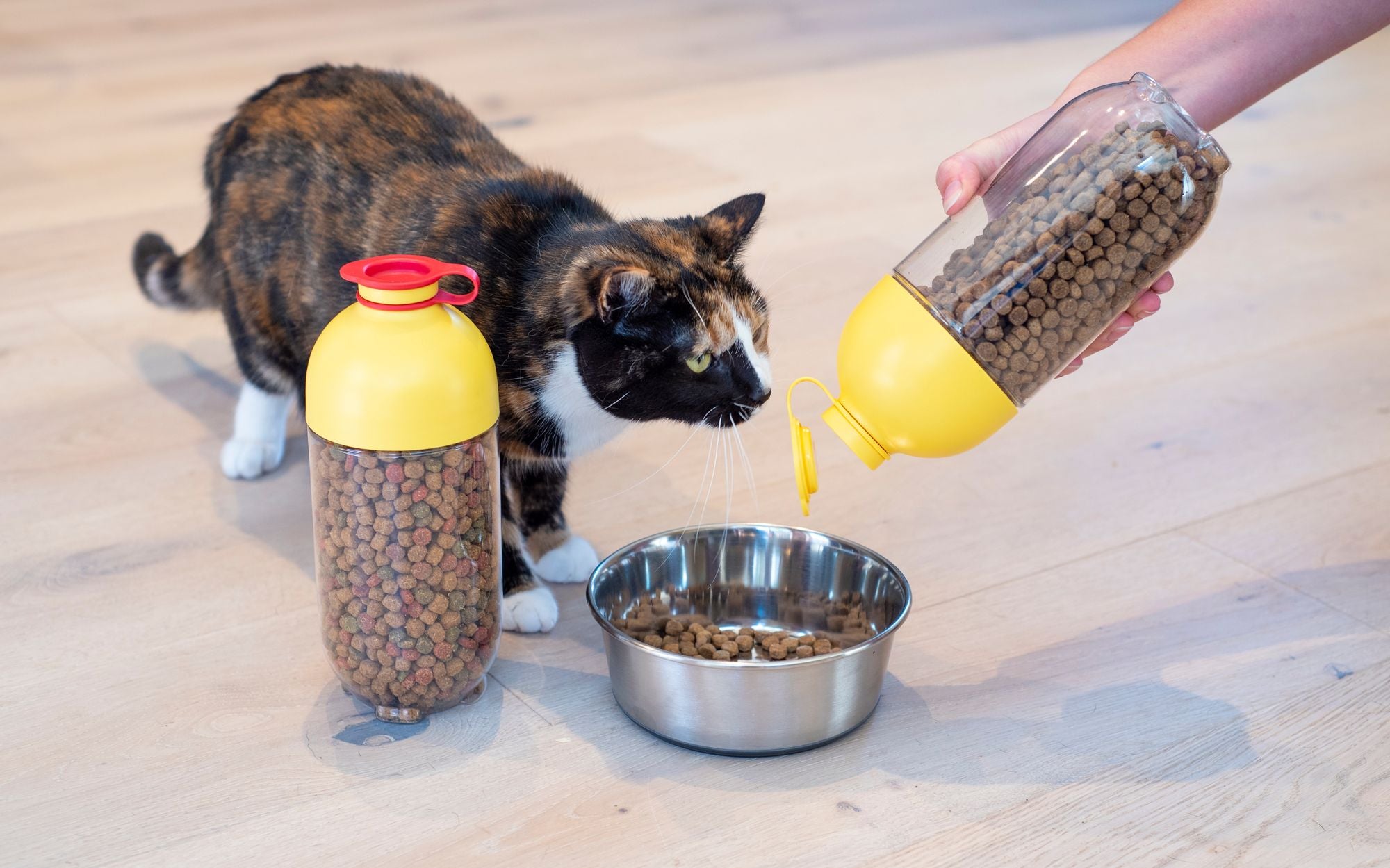 LocknLock Pet Fridge Storage 1 Litre