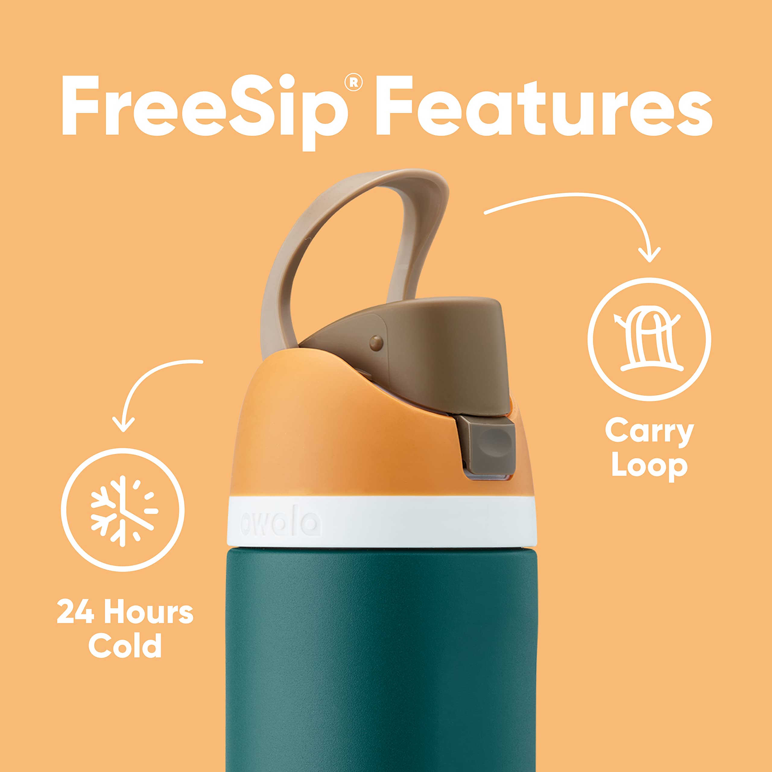 Owala FreeSip Bottle 24oz - Canyon Falcon