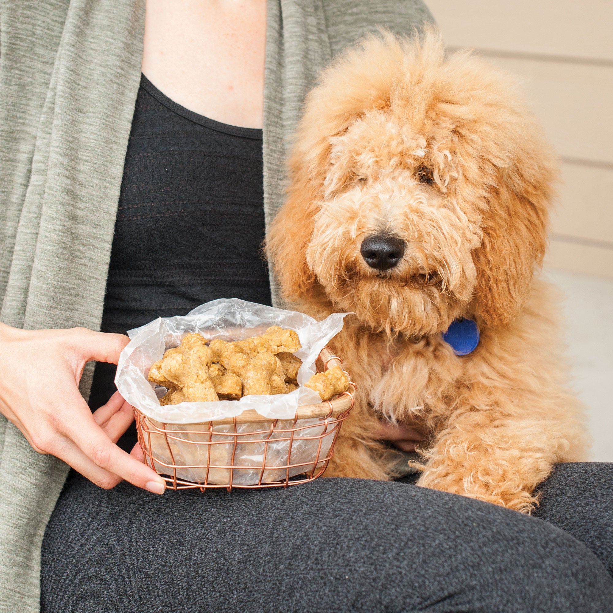 Nordicware Puppy Love Pan 37.5 x 25.5 x 1.5cm