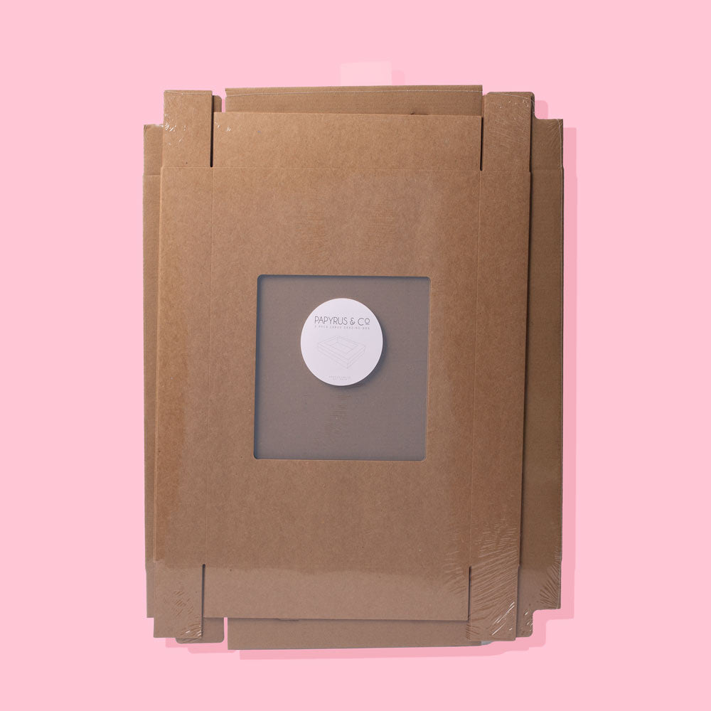 Papyrus Large Grazing Box with Window 2 Pack