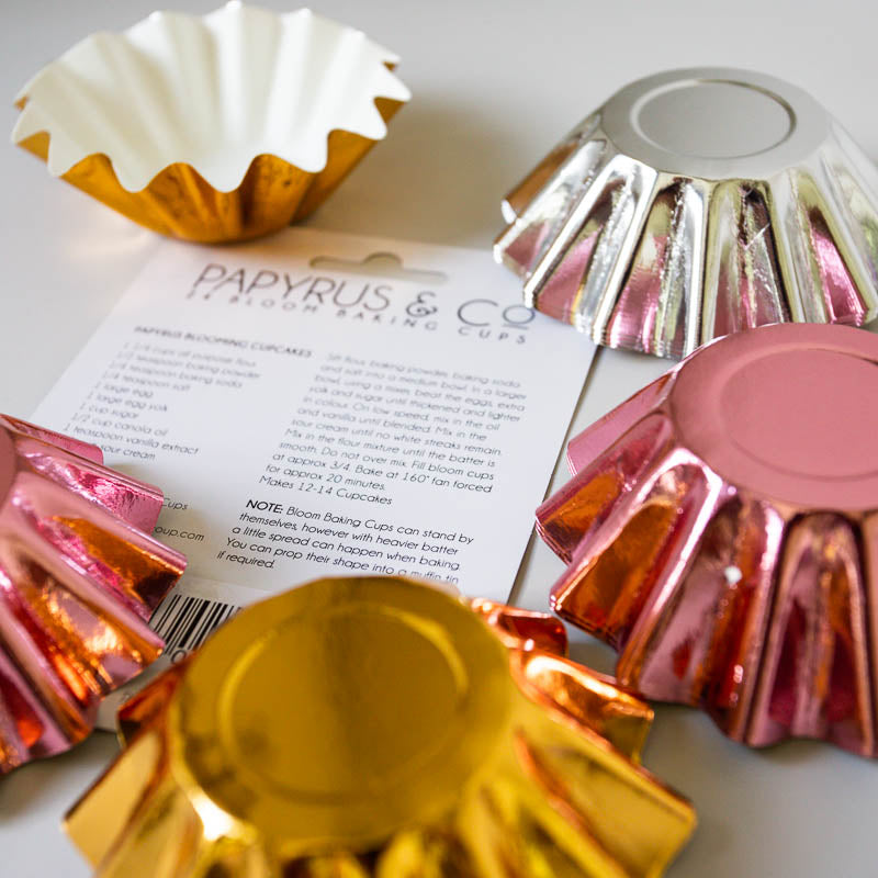 Papyrus Bloom Baking Cups Silver 24 Pack