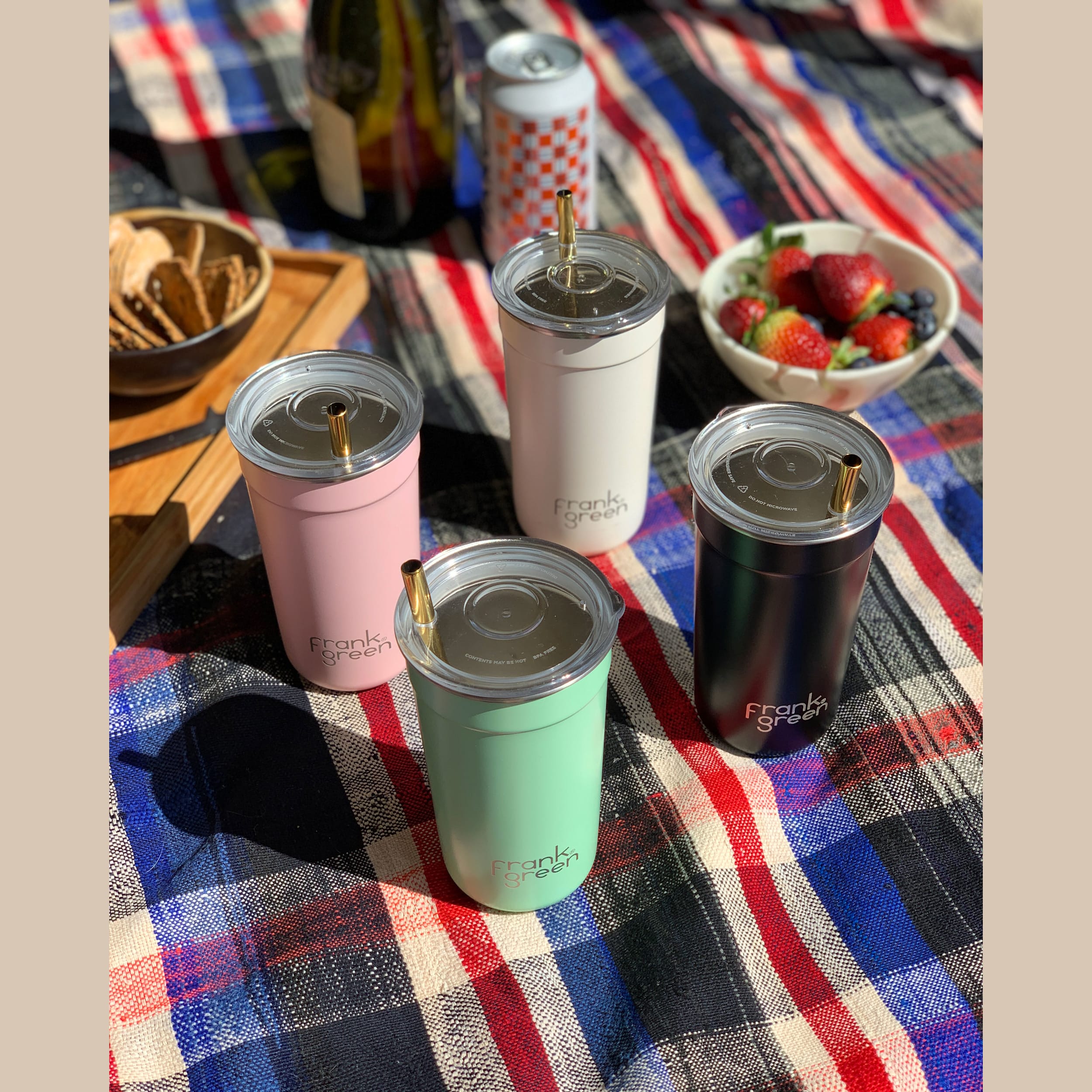 frank green 16oz 4 Pack Party Cups - Mixed - Core