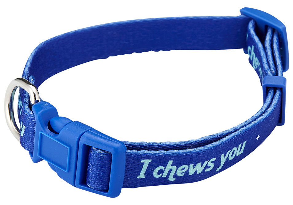 Porta by Ladelle Rover Chews Small Collar