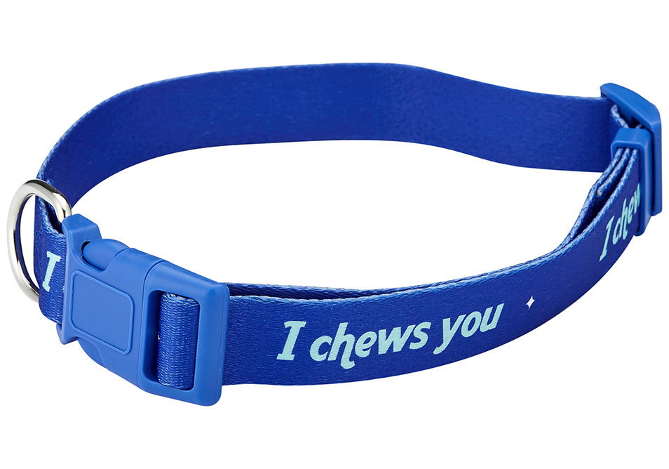 Porta by Ladelle Rover Chews Large Collar