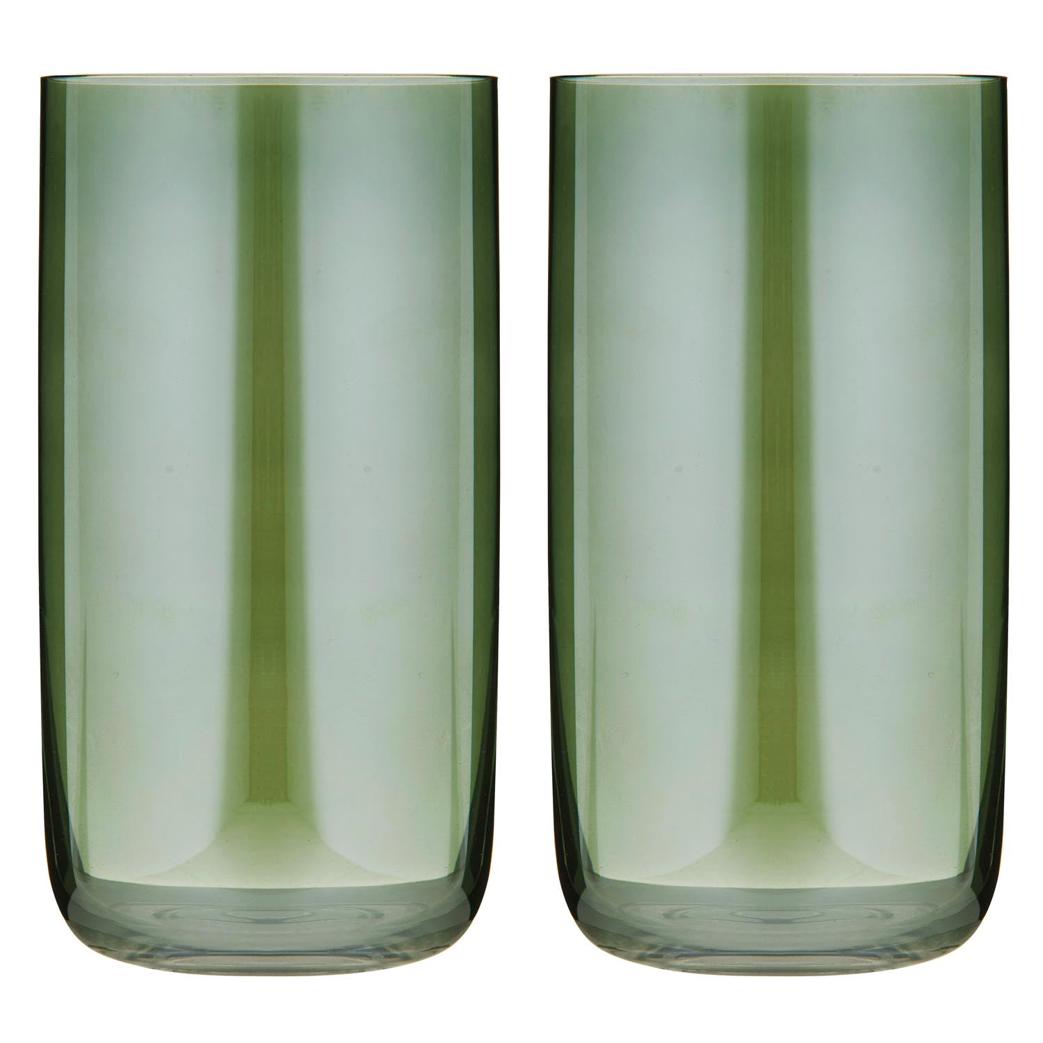 Tempa Verity Fern 2pk Highball Tumbler