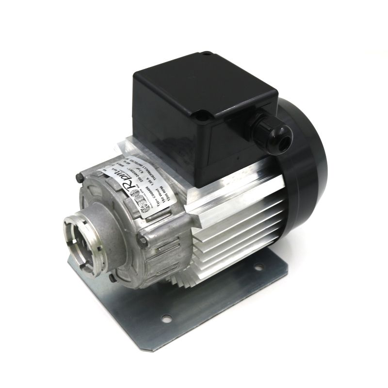 Flat Shaft Rotary Pump External Motor