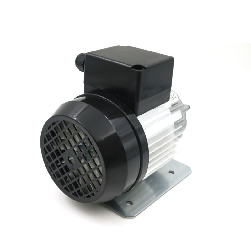 Flat Shaft Rotary Pump External Motor
