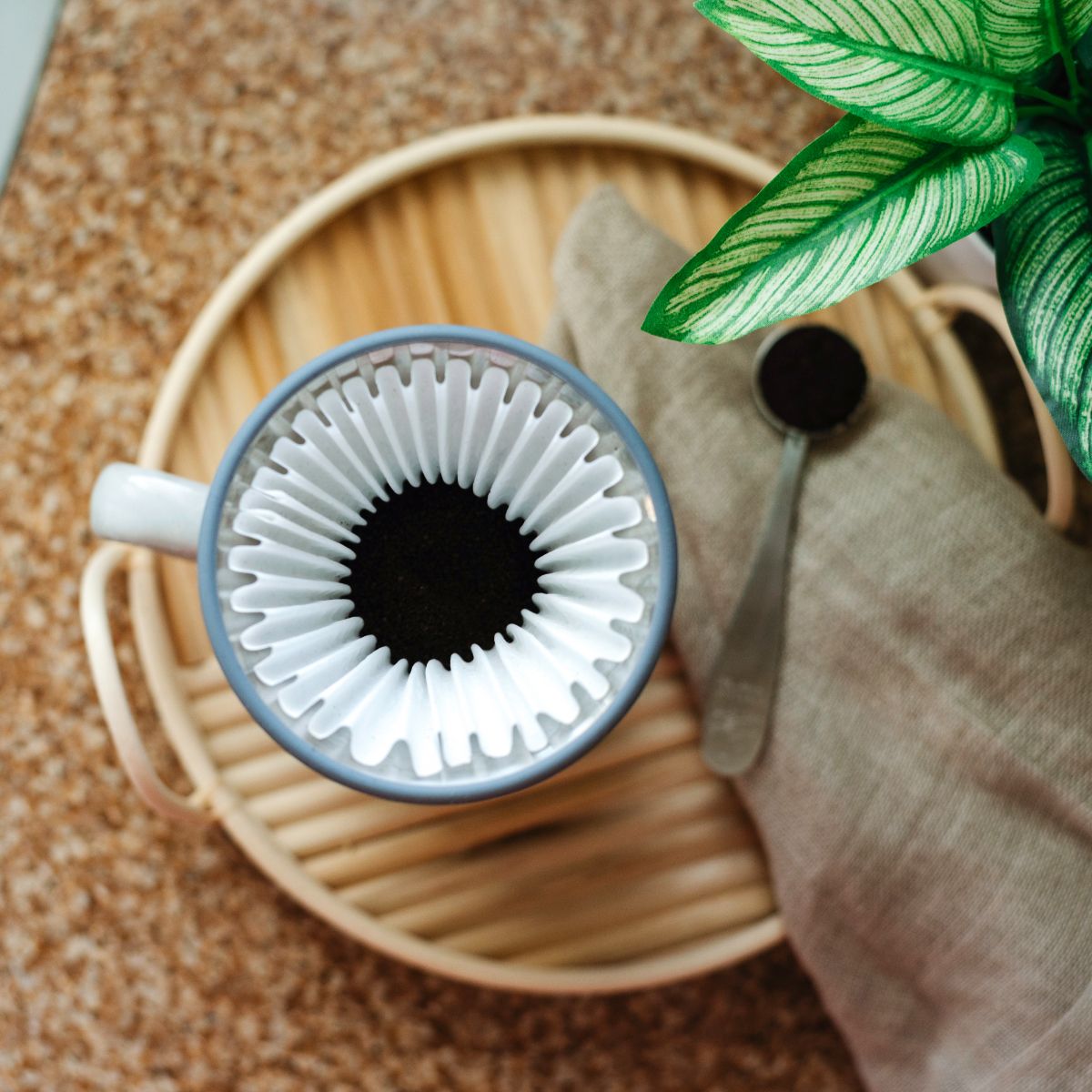Espro Bloom Paper Filters (100pk)