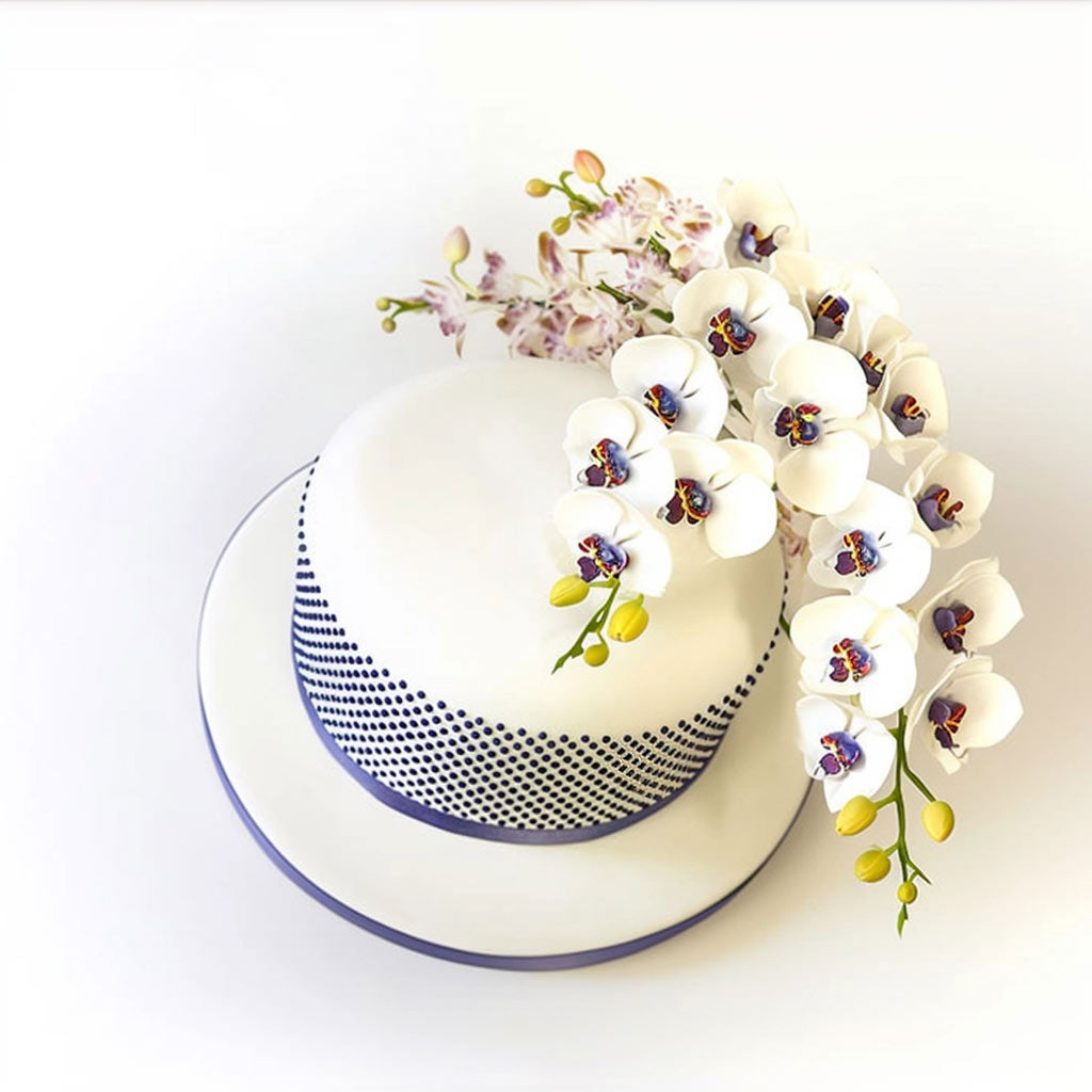 FMM Press Ice Polka 2