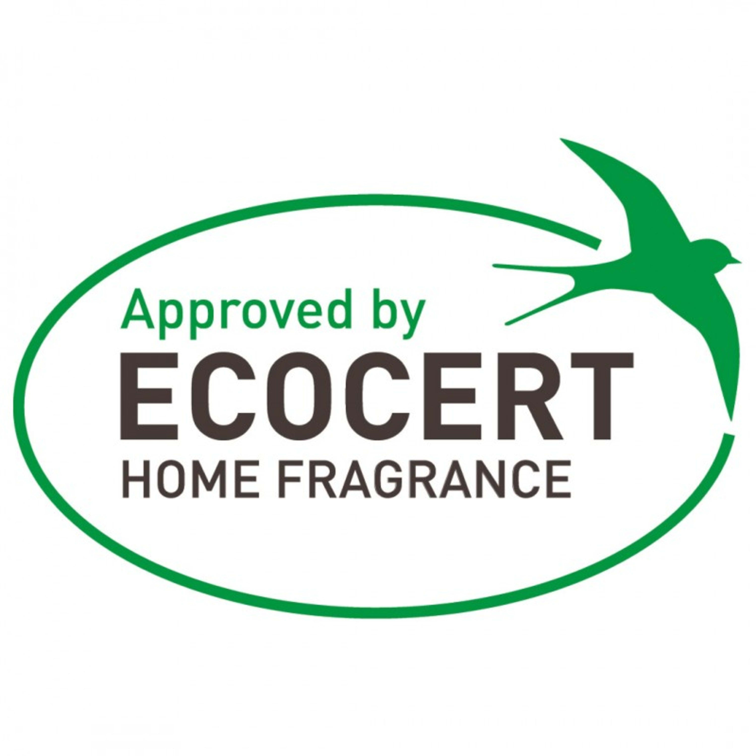 Hagerty Odour Eliminator - 500ml