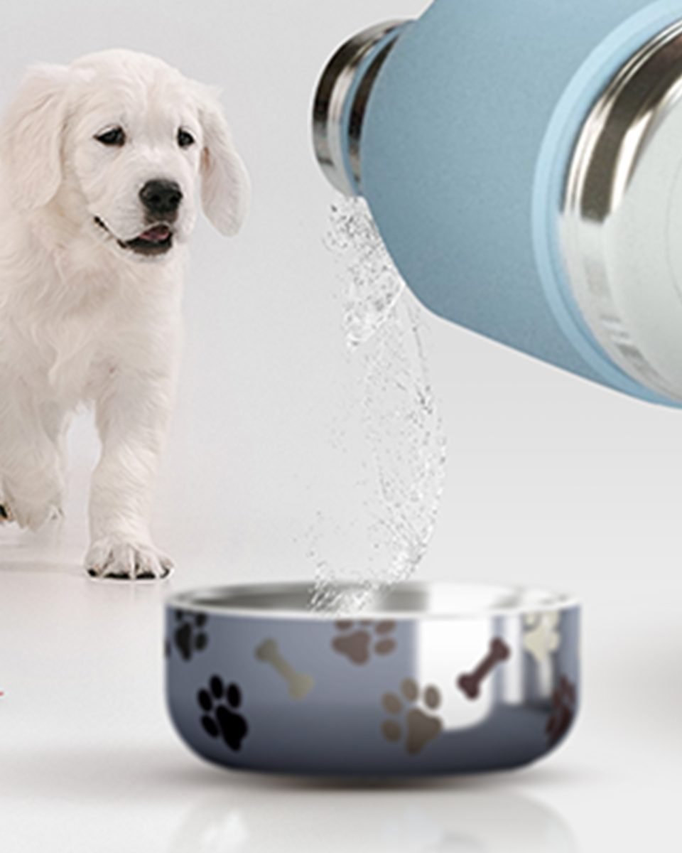 Asobu Stainless Steel Dog Bowl Bottle 975ml - Smoke