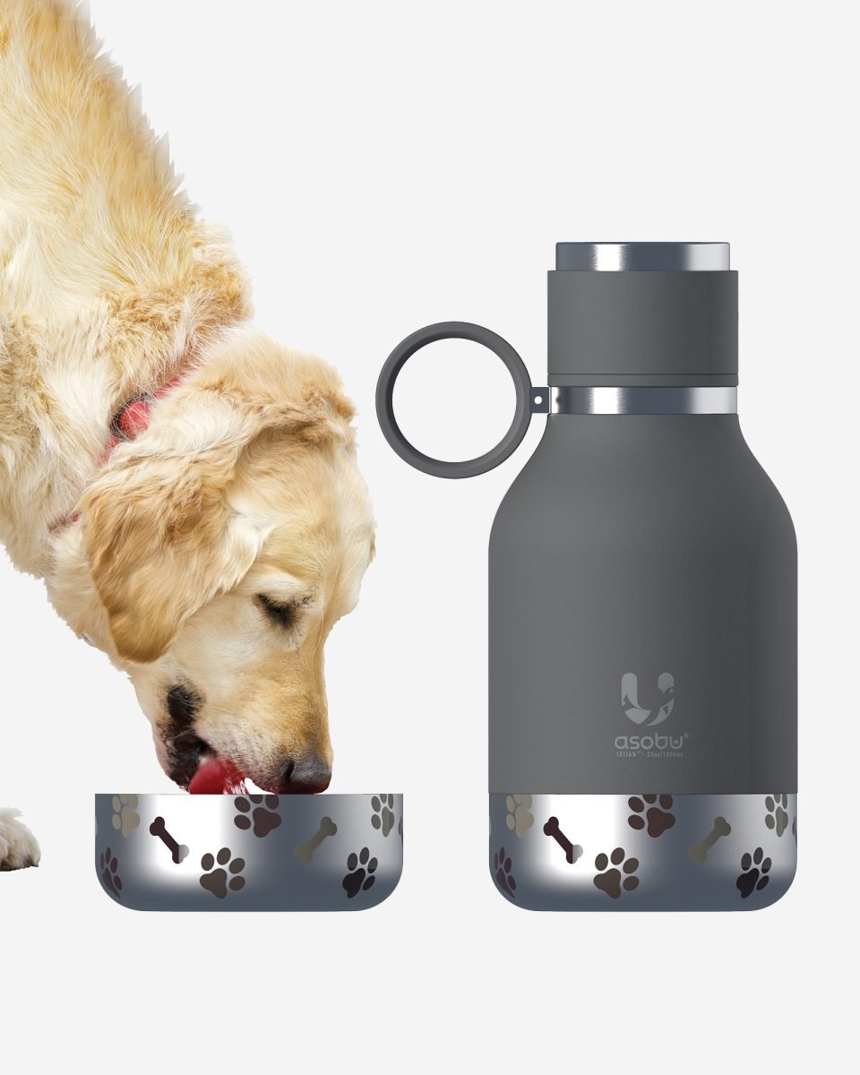 Asobu Stainless Steel Dog Bowl Bottle 975ml - Smoke