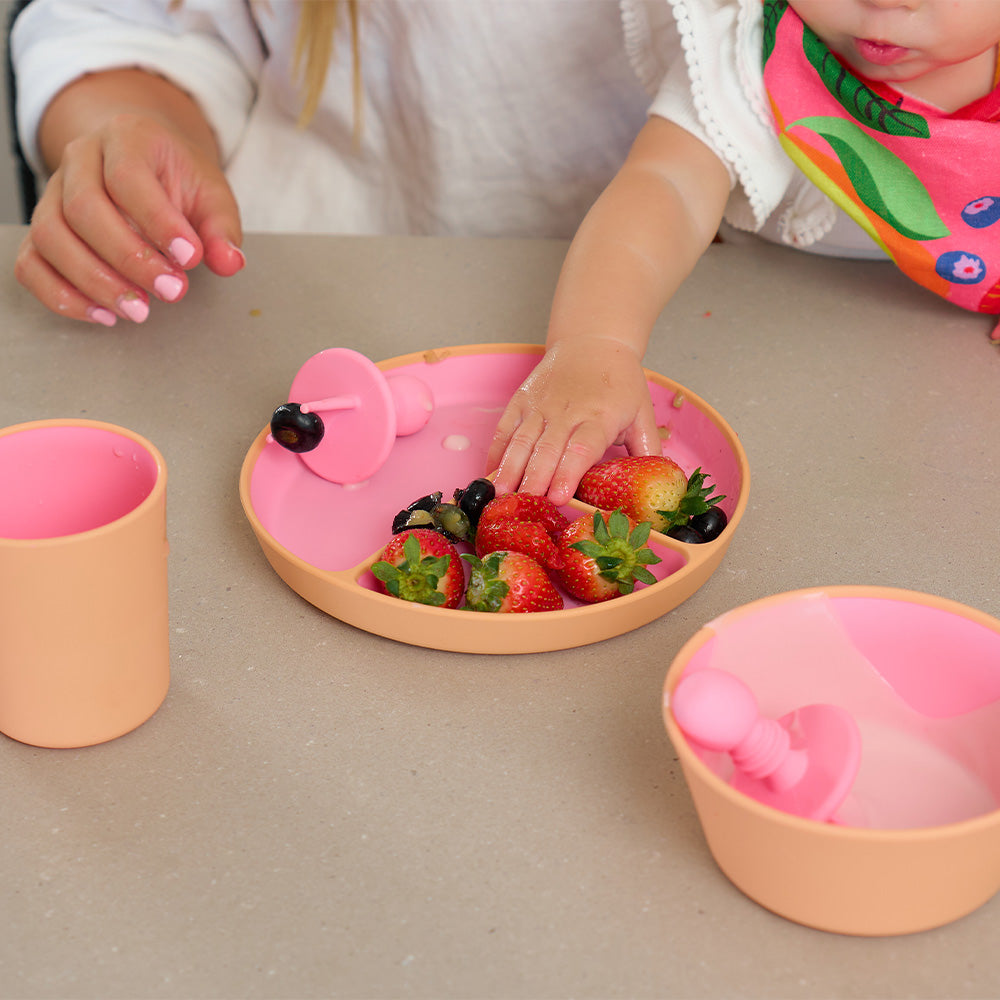 Annabel Trends Silicone Two Tone Dinner Set Pink
