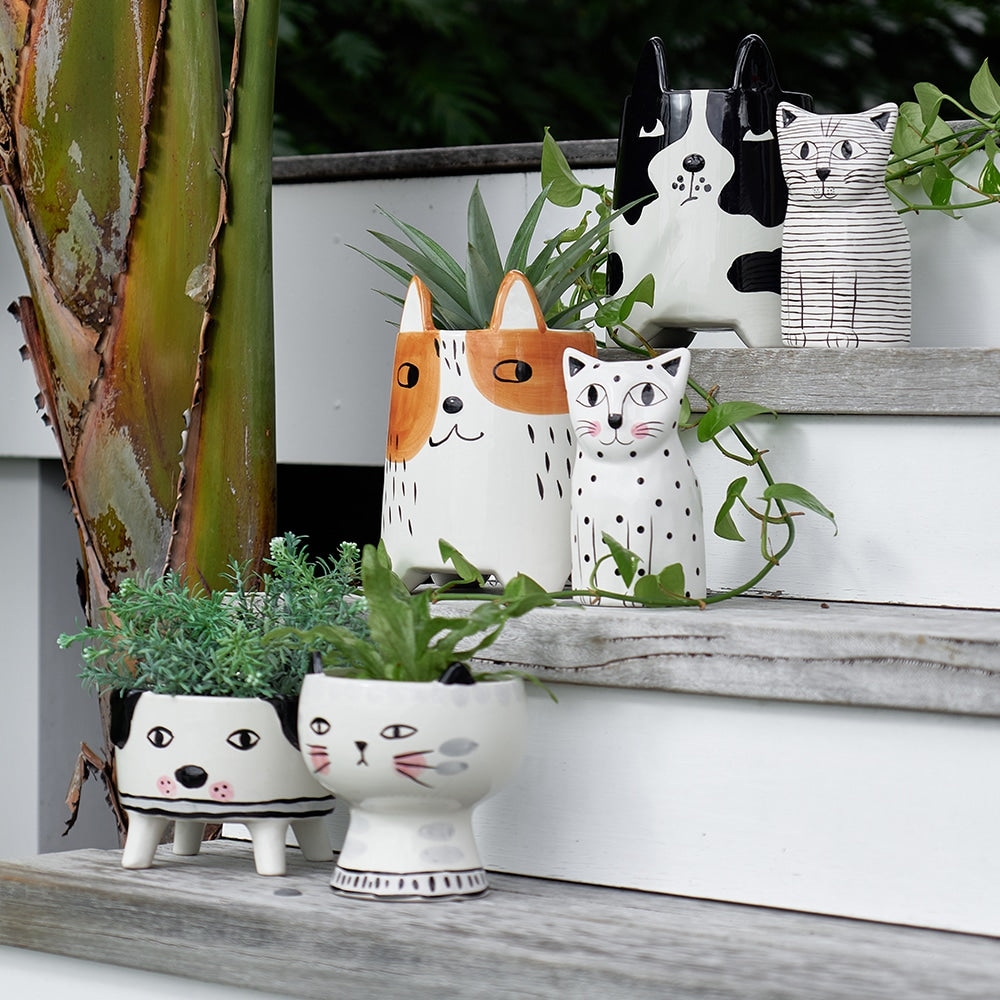 Annabel Trends Ceramic Animal Planter Large Daisy Dog