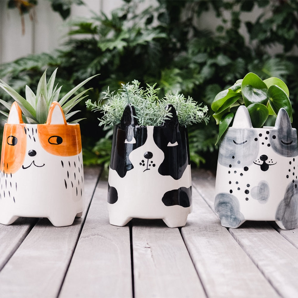 Annabel Trends Ceramic Animal Planter Large Daisy Dog