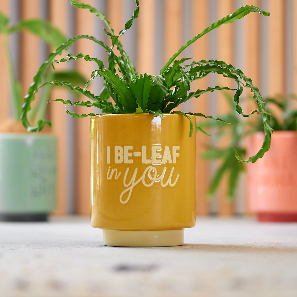 Annabel Trends Ceramic Planters You Grow Girl