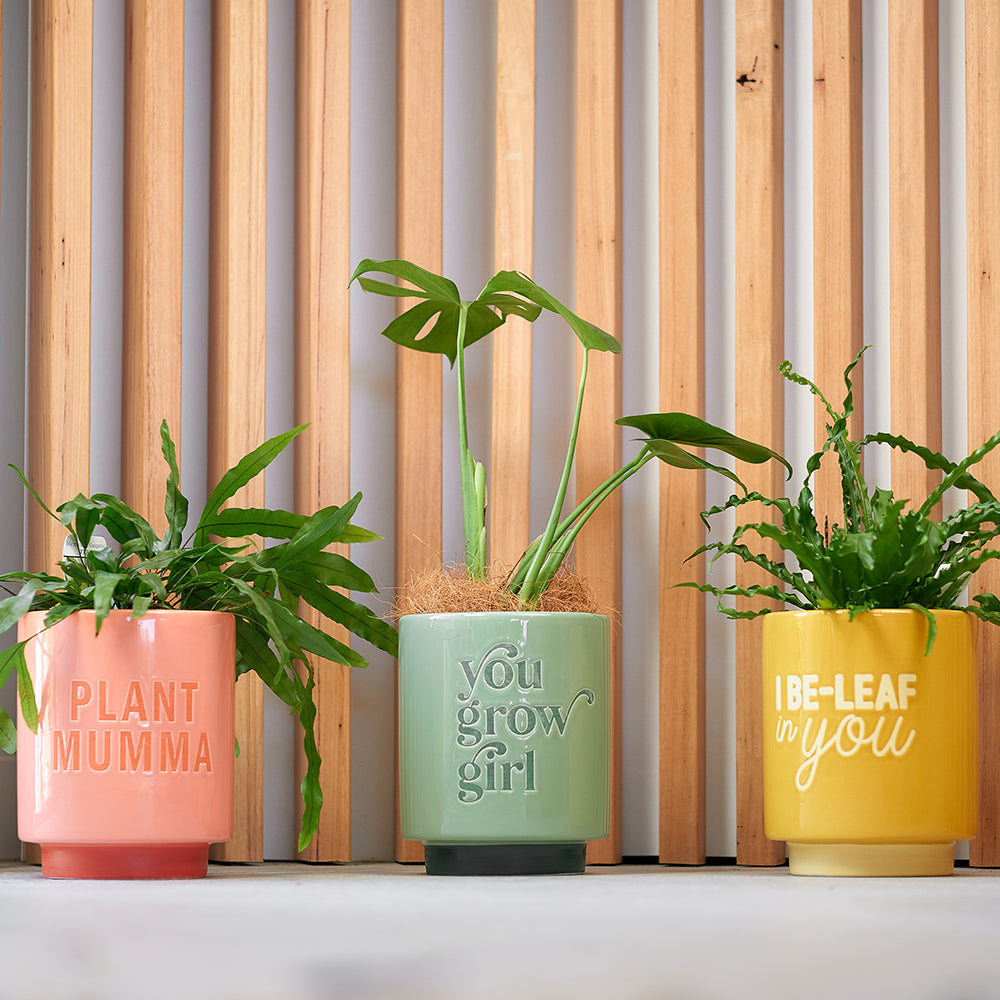 Annabel Trends Ceramic Planters You Grow Girl