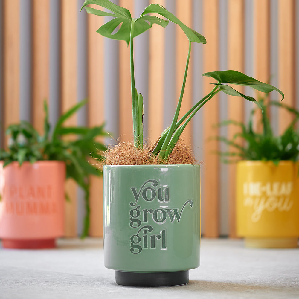 Annabel Trends Ceramic Planters I Be-Leaf In You