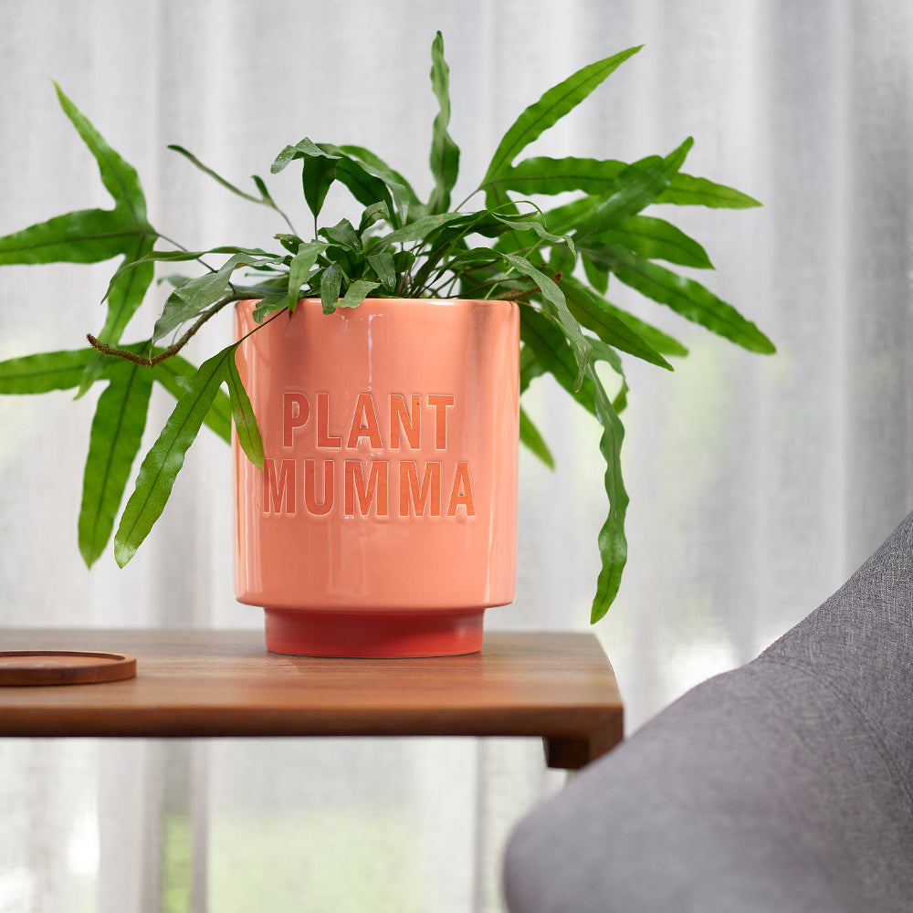 Annabel Trends Ceramic Planters I Be-Leaf In You