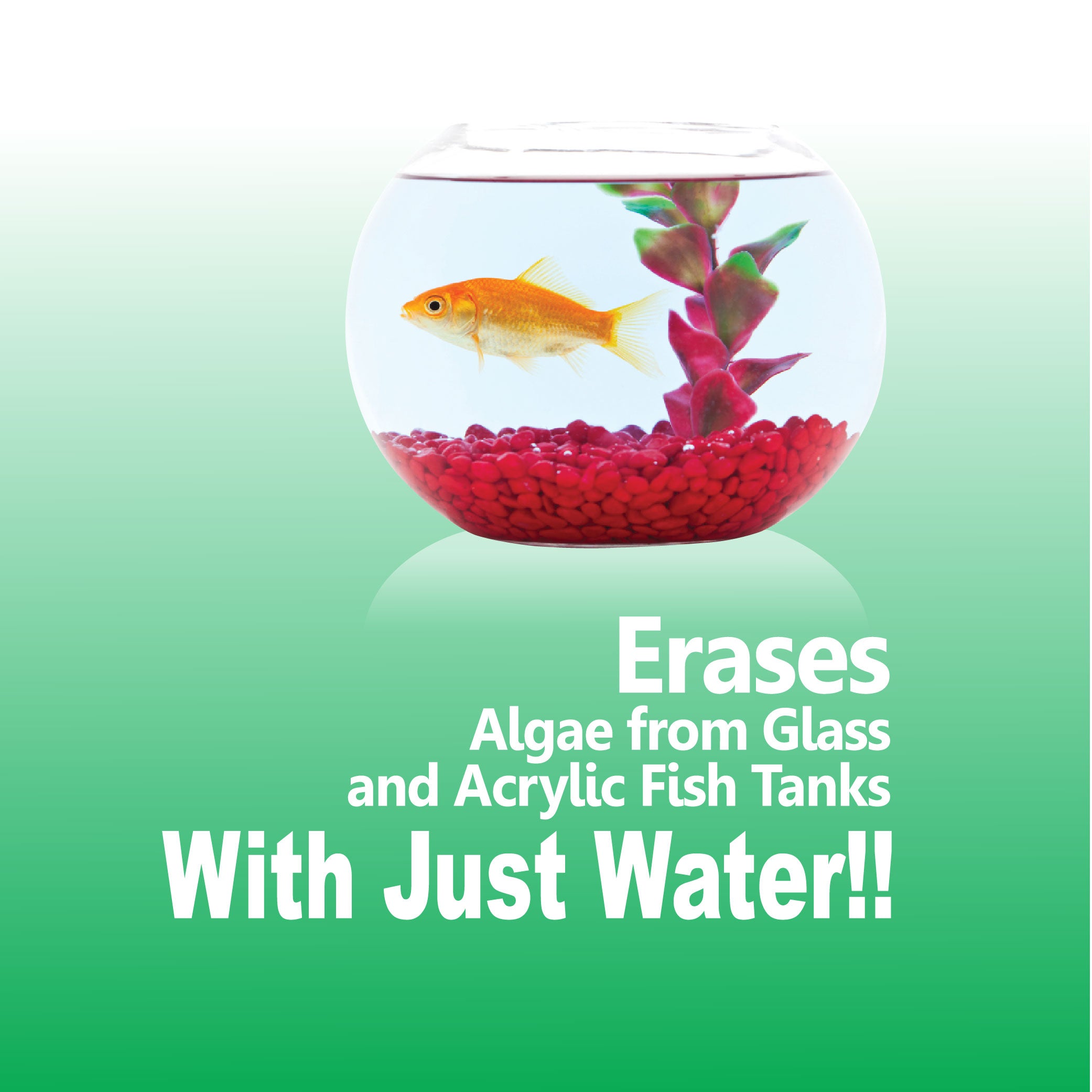 Aquarium Eraser Sponge