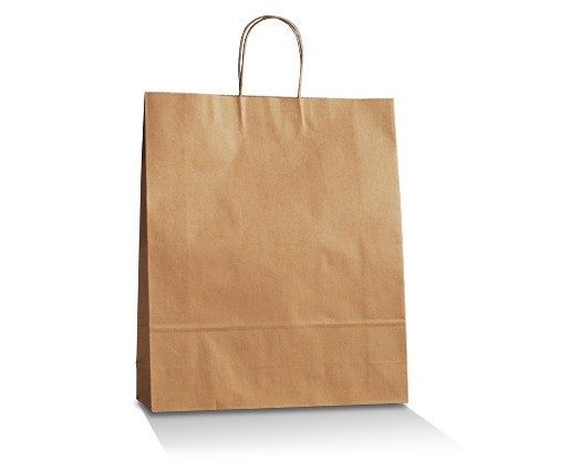 ecoware Brown Kraft Bag Twisted Paper Handle Medium Plus (Carton of 250)