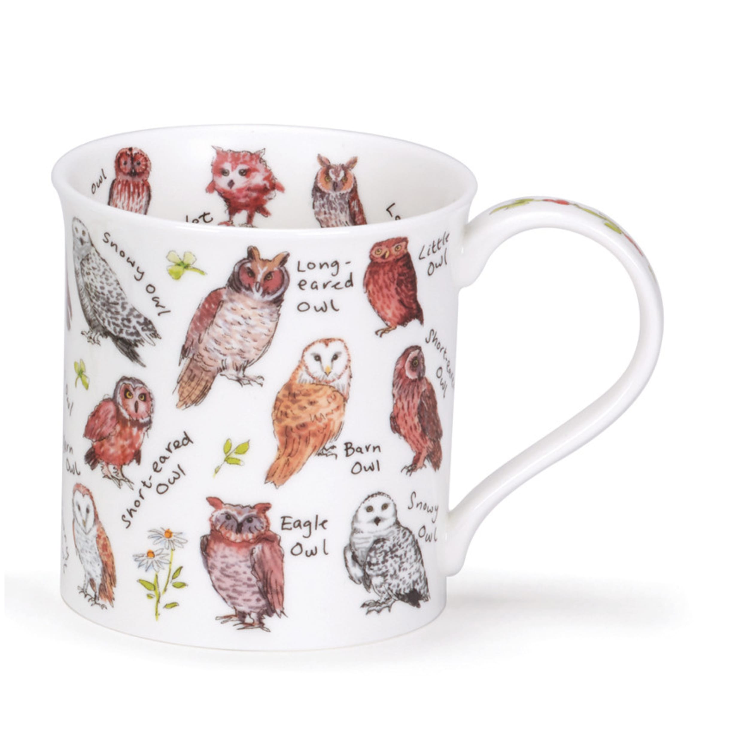 Dunoon Bute Birdlife Owls Mug 300ml