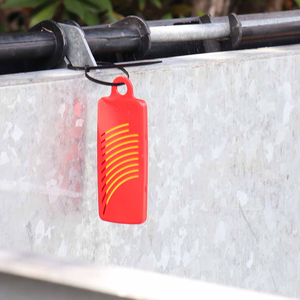 BinKill Commercial Bin 65g