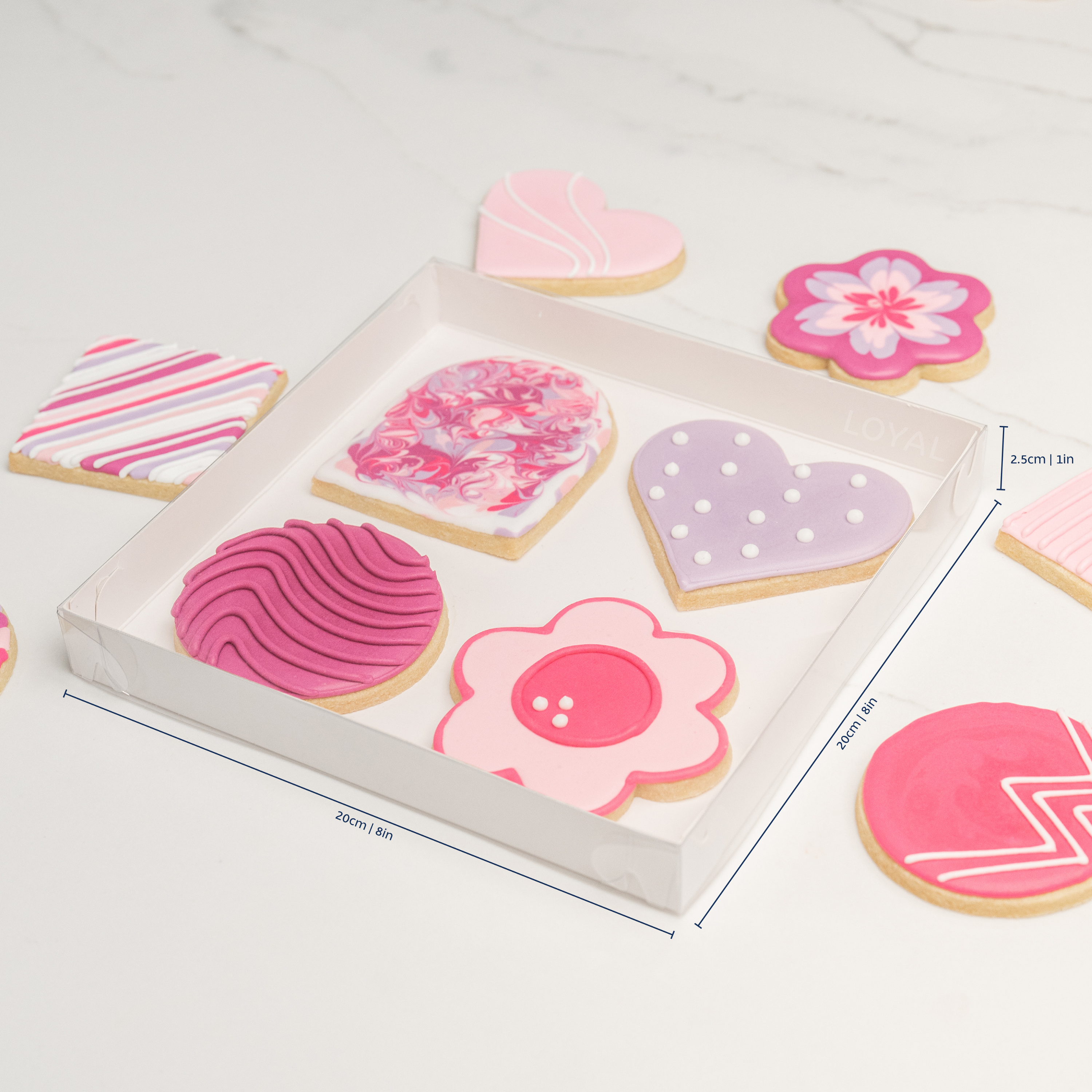LOYAL Cookie Box Clear Lid 20cm x 20cm x 2.5cm