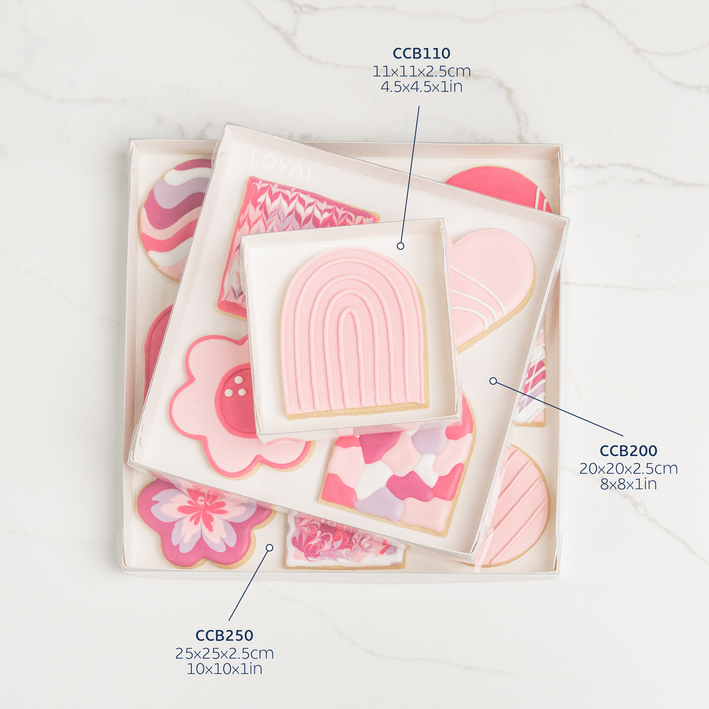 LOYAL Cookie Box Clear Lid 25cm x 25cm x 2.5cm