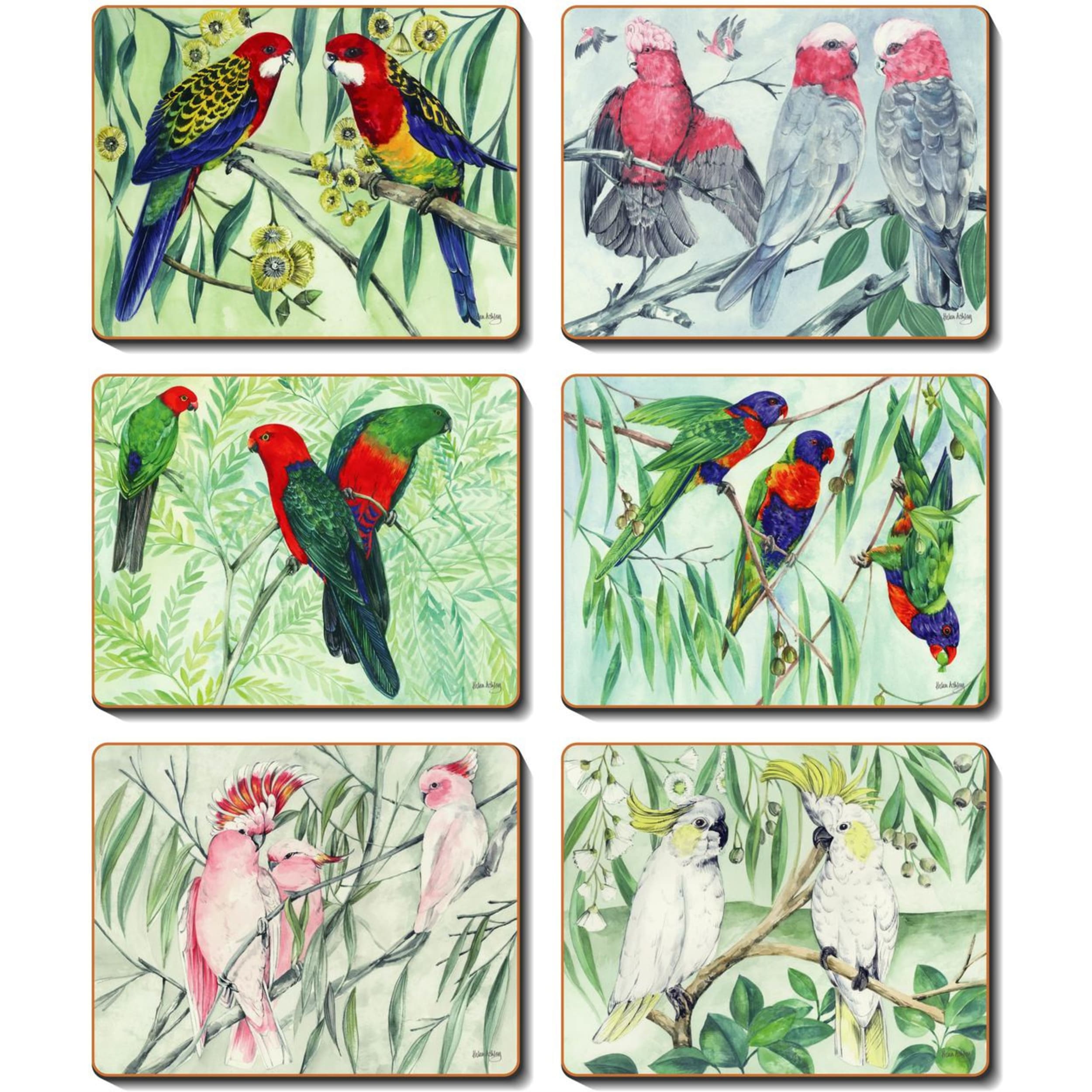 Cinnamon Australian Parrots Coaster 6 Piece Set