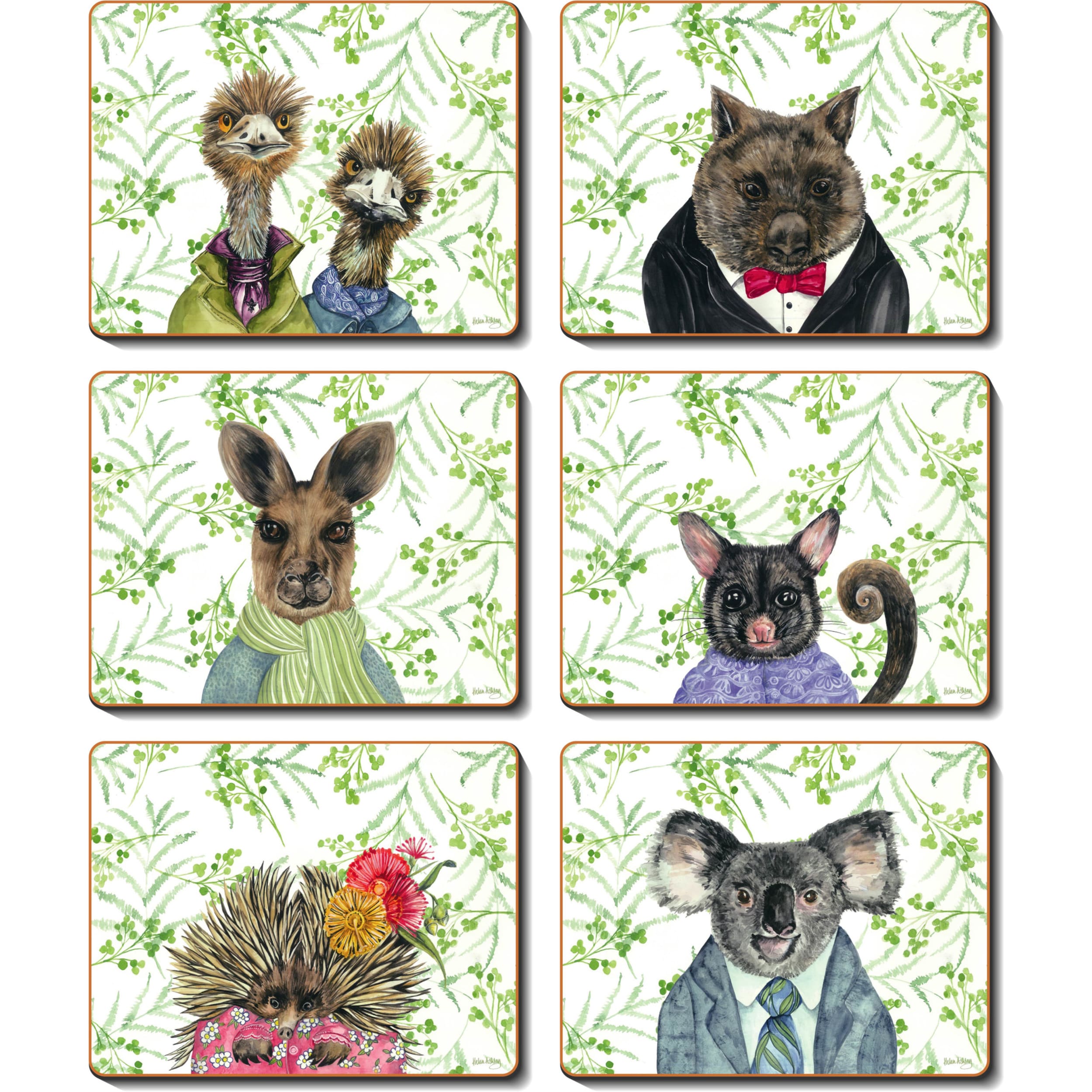 Cinnamon Bush Tucker Coaster 6 Piece Set